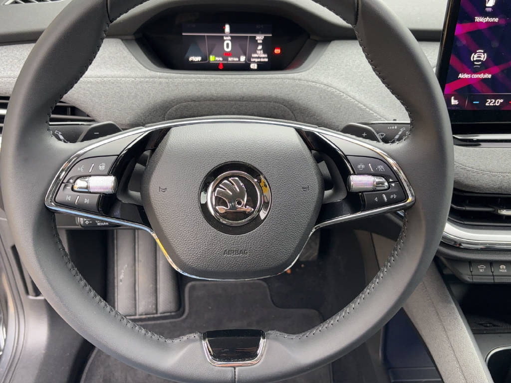 SKODA Enyaq iV 80x-image-9