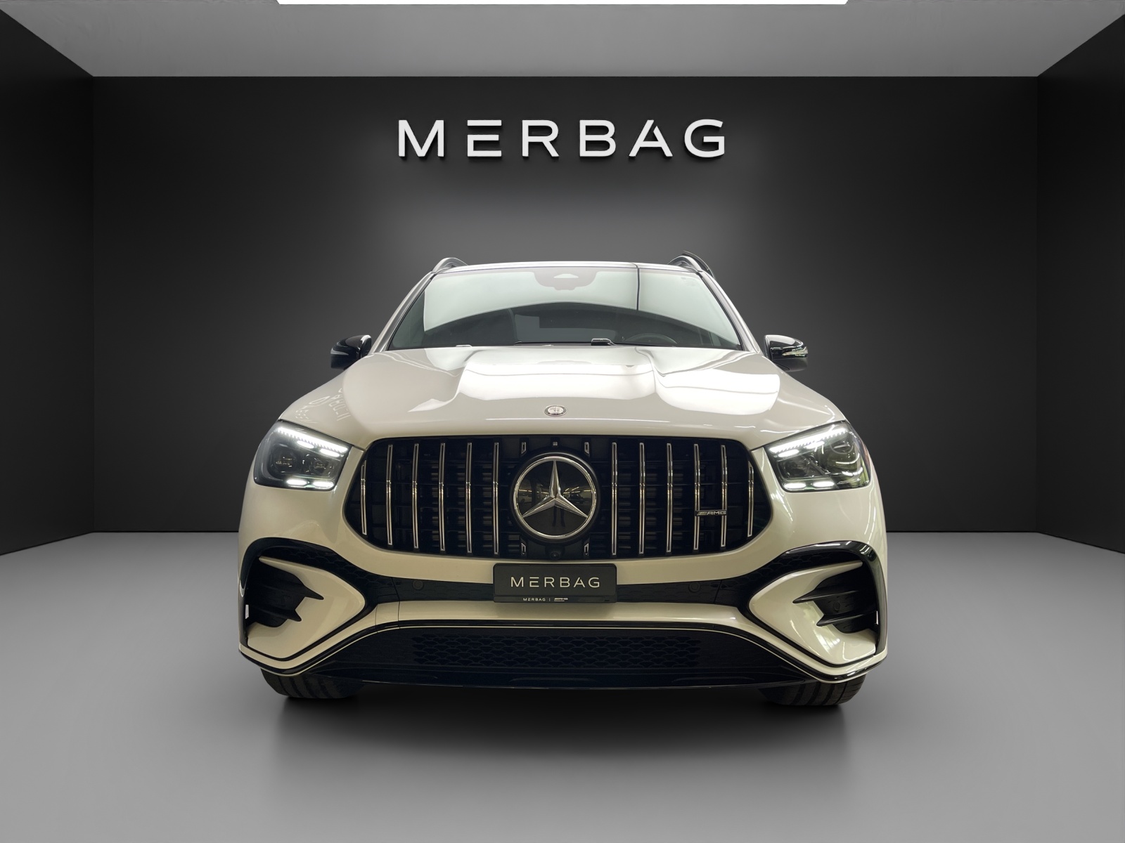 MERCEDES-BENZ GLE 53 AMG 4Matic+-image-1