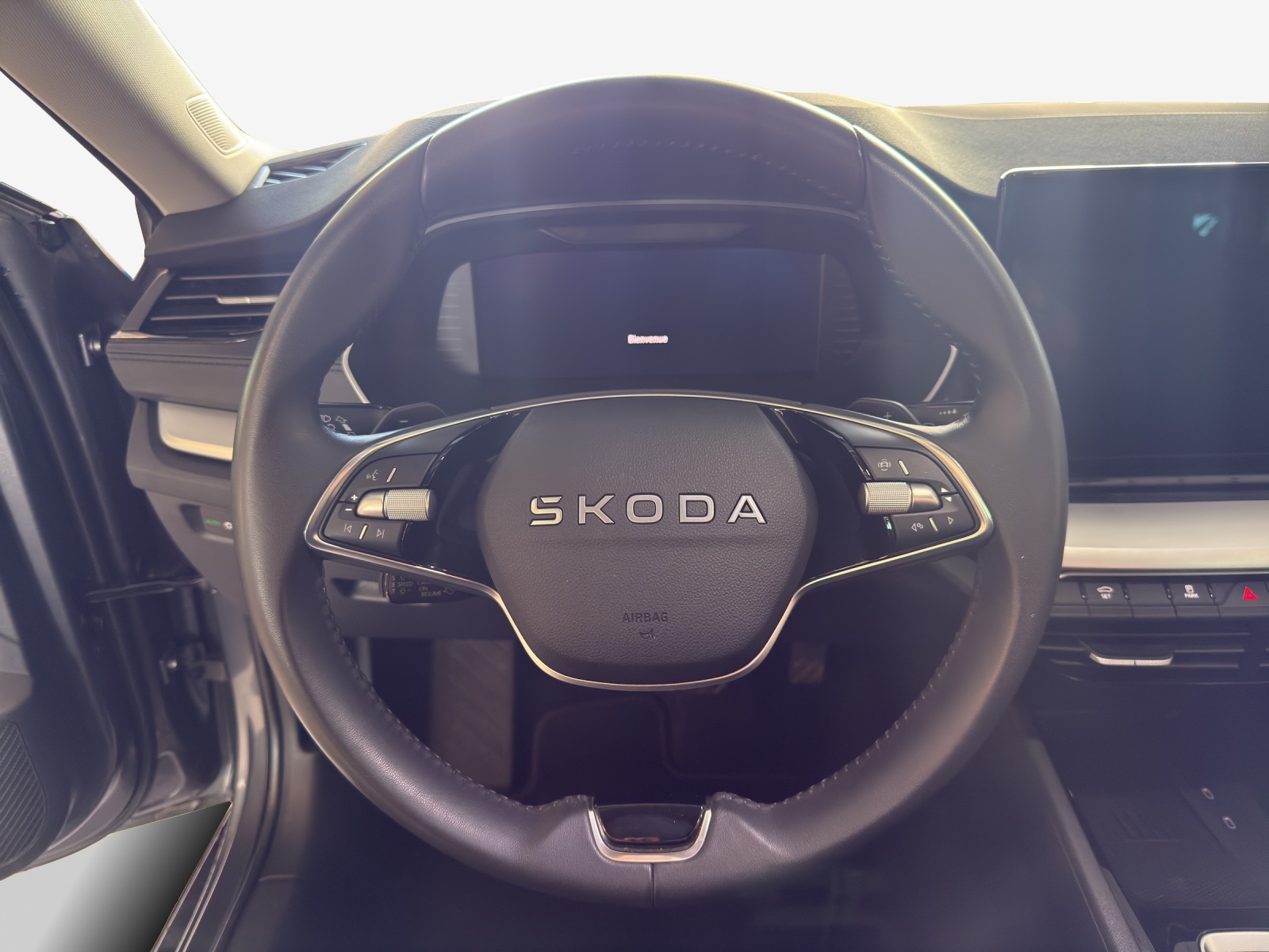 SKODA Octavia Combi 2.0 TDI DSG Selection-image-9