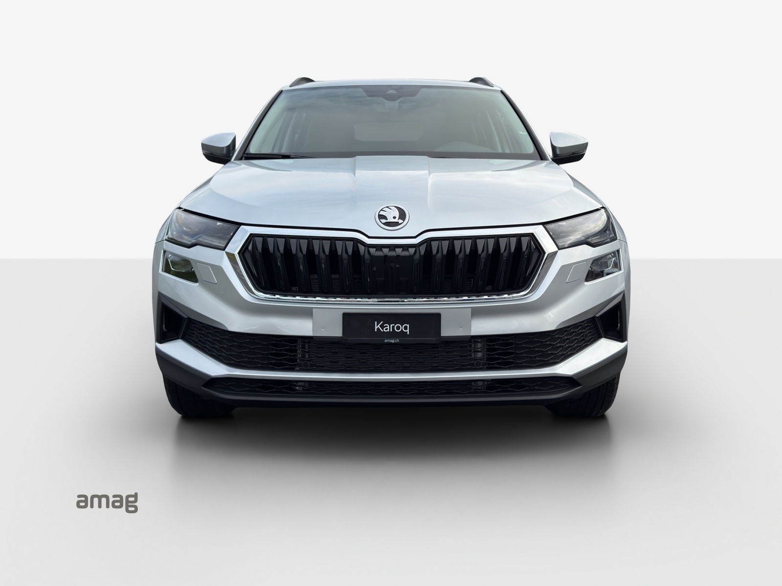 SKODA Karoq 1.5 TSI Dynamic DSG-image-6
