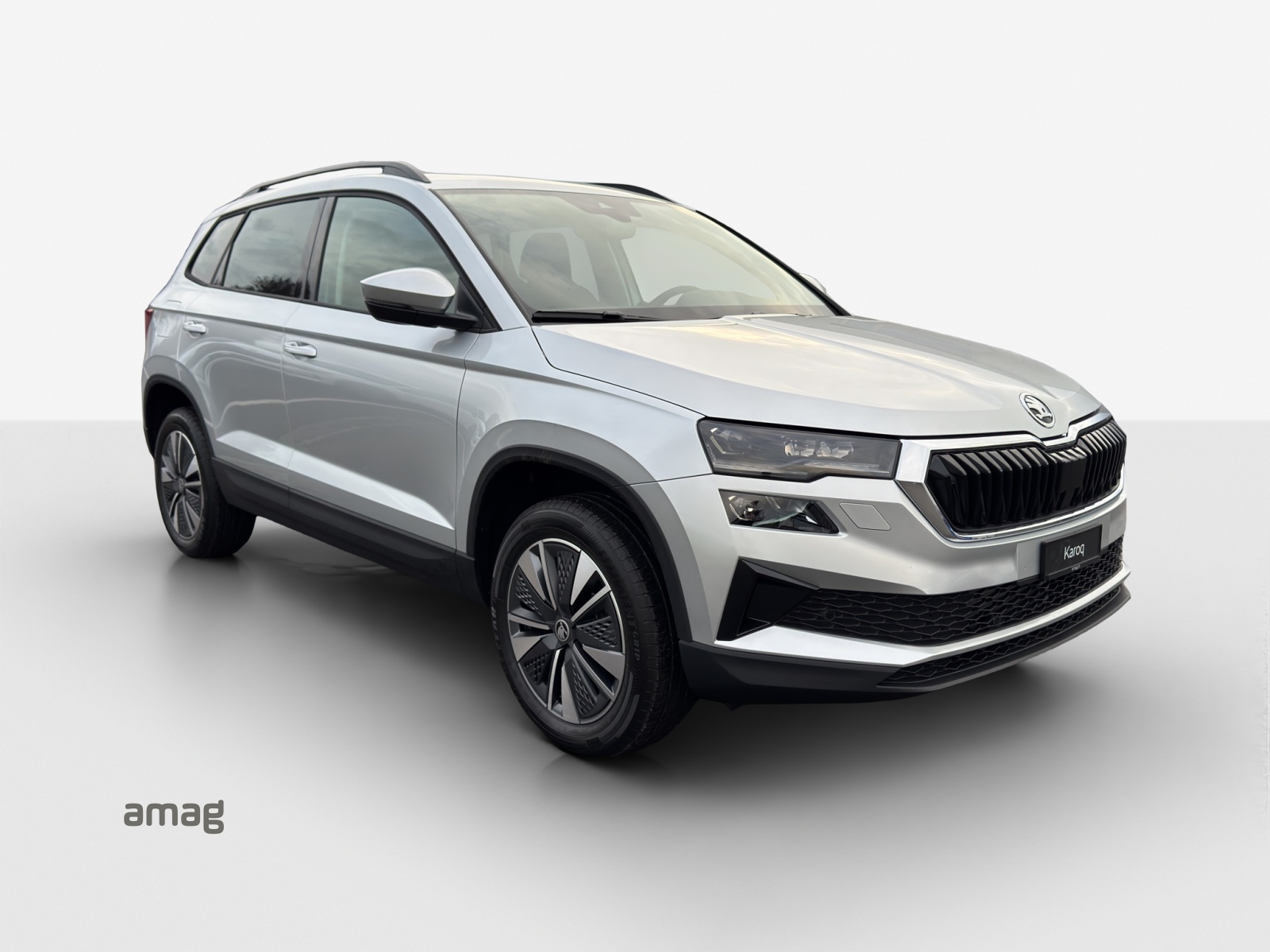 SKODA Karoq 1.5 TSI Dynamic DSG-image-5