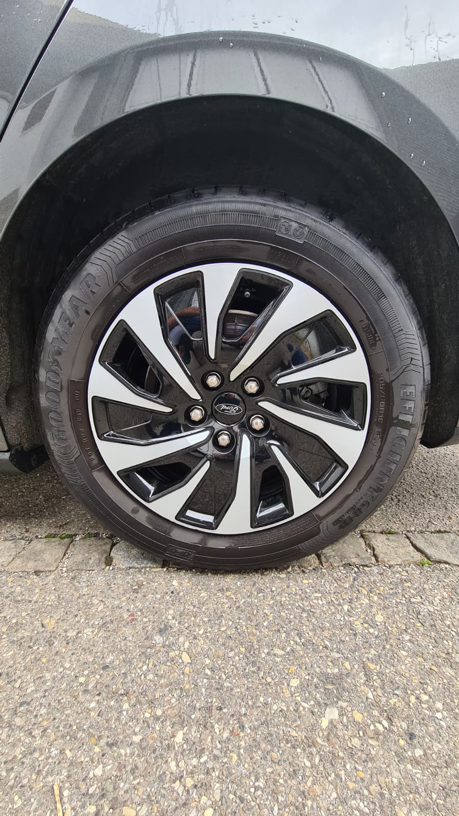 FORD Focus 1.0 MHEV Titanium X Automat ** Gr-Navi ** RF-Kamera ** Abstandsregelsystem ** Sitzheizung ** Neues Modell 2023 **-image-18