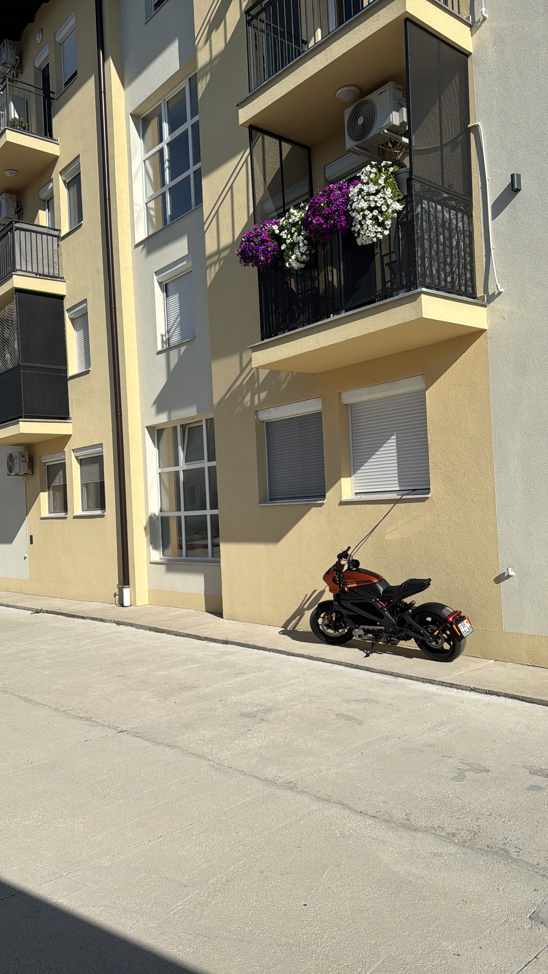 HARLEY-DAVIDSON Live Wire-image-8