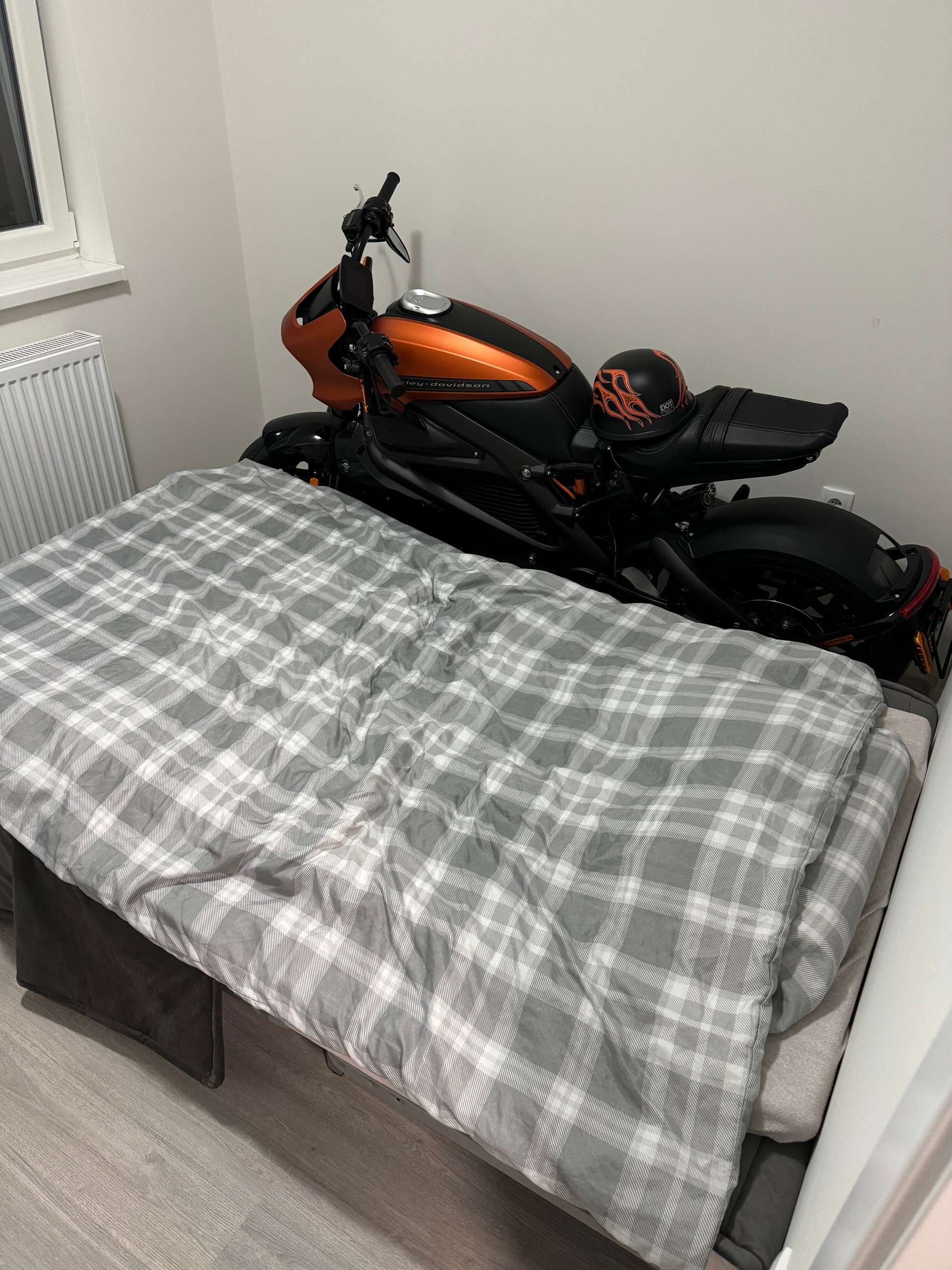 HARLEY-DAVIDSON Live Wire-image-5