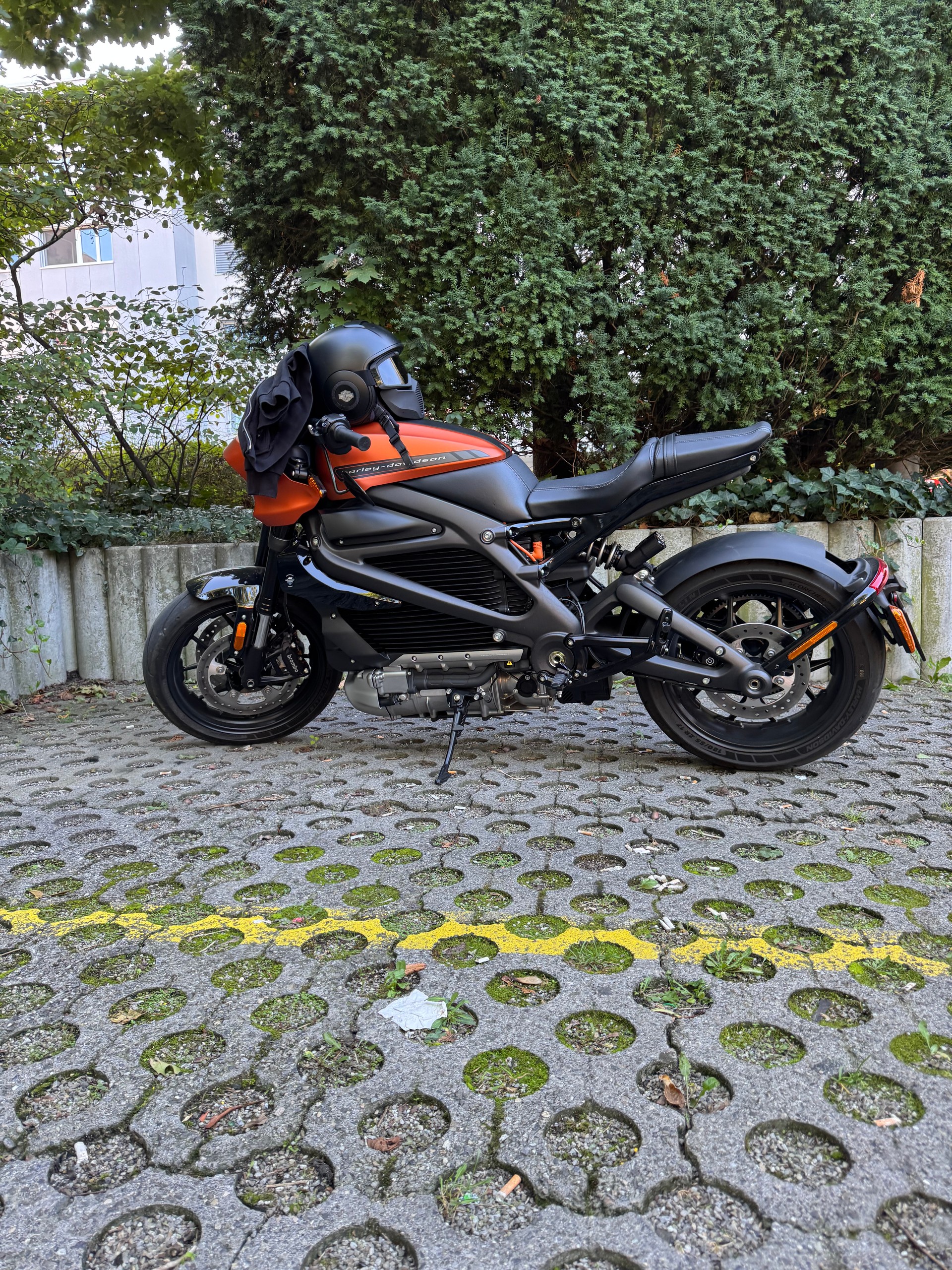 HARLEY-DAVIDSON Live Wire-image-6