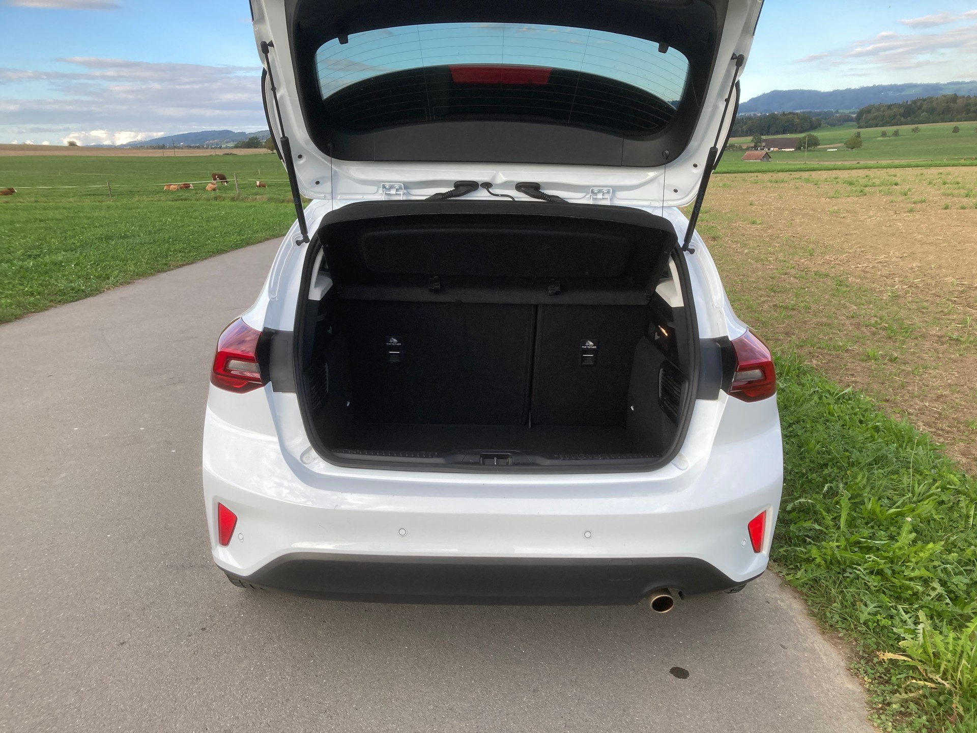 FORD Focus 1.0 SCTi Titanium-image-5