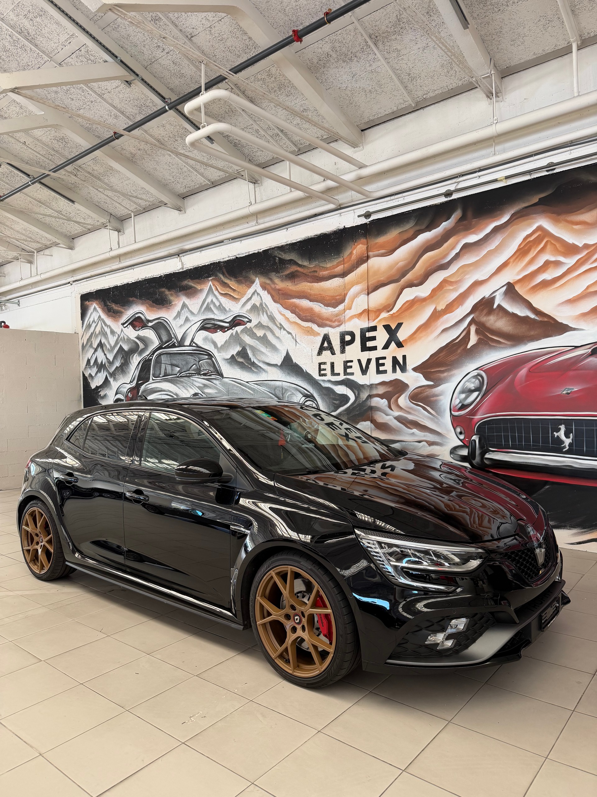 RENAULT Mégane Trophy 300 EDC-image-1