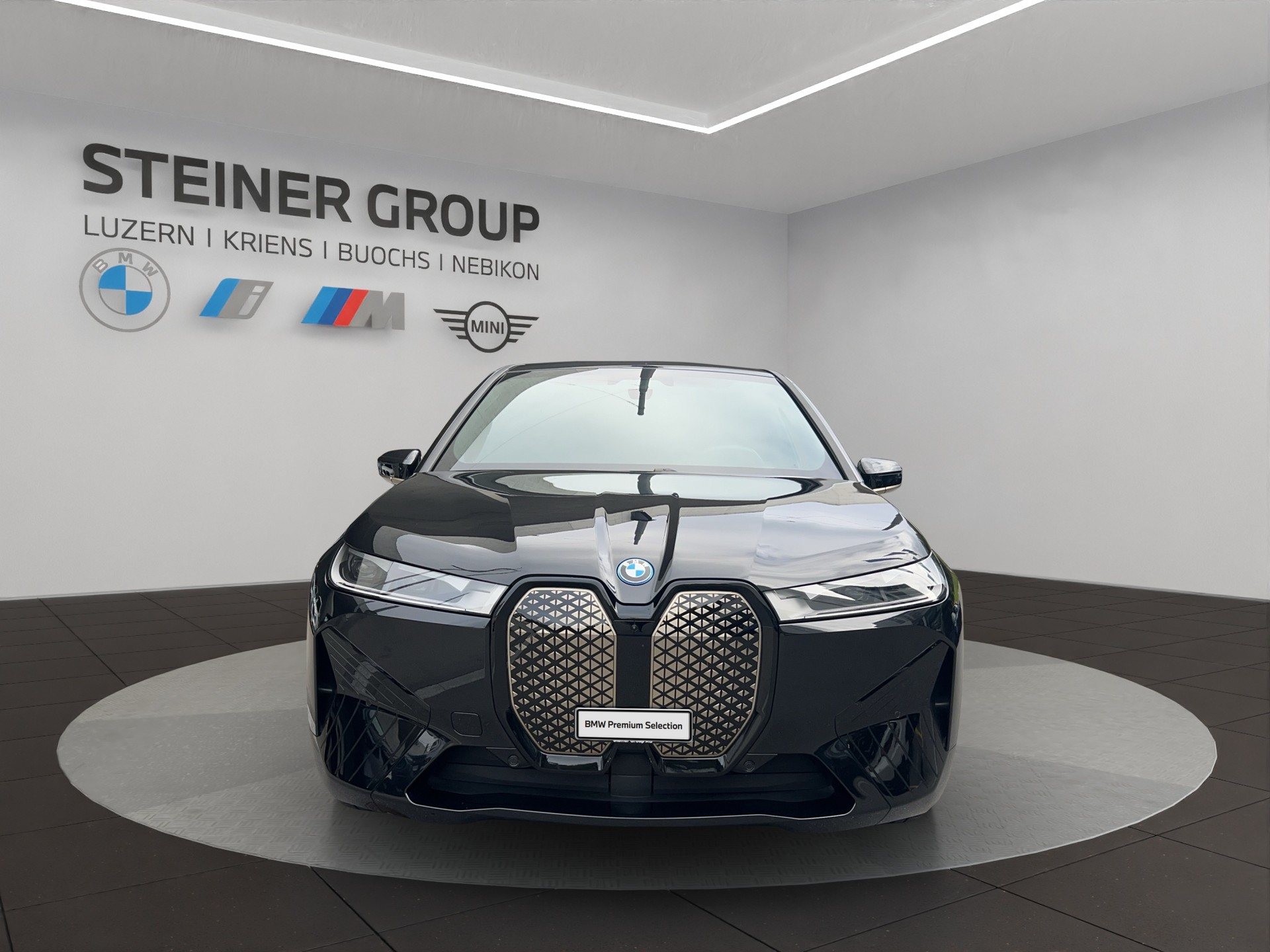 BMW iX xDrive40-image-1