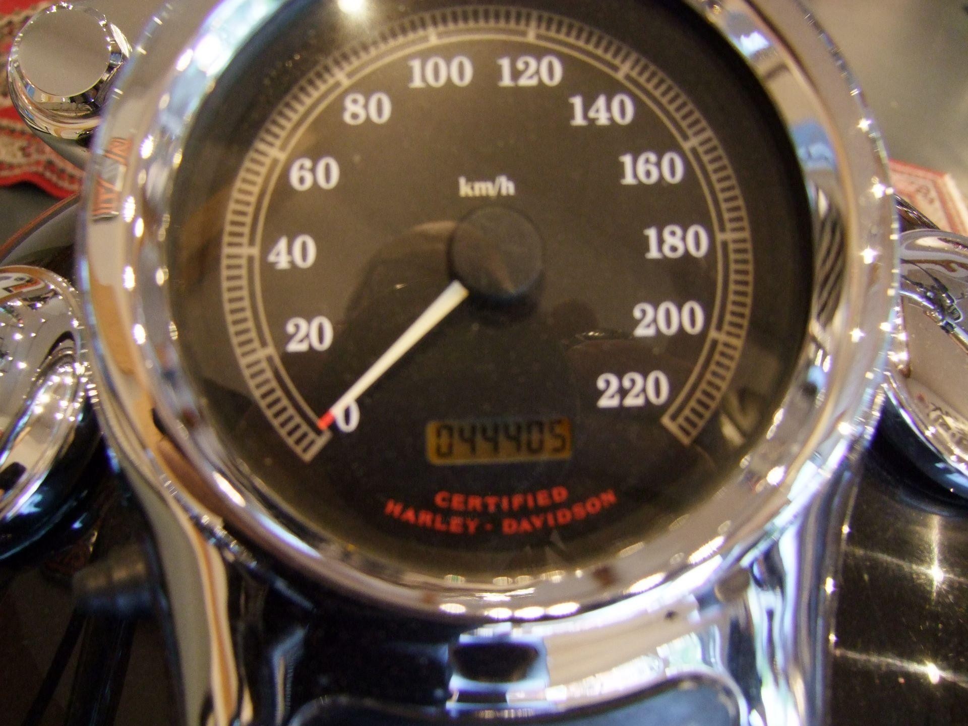 HARLEY-DAVIDSON FXSTD 1450 Softail Deuce-image-6