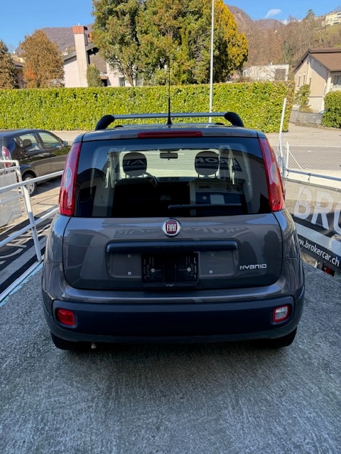 FIAT Panda 1.0 MHEV City Life-image-3