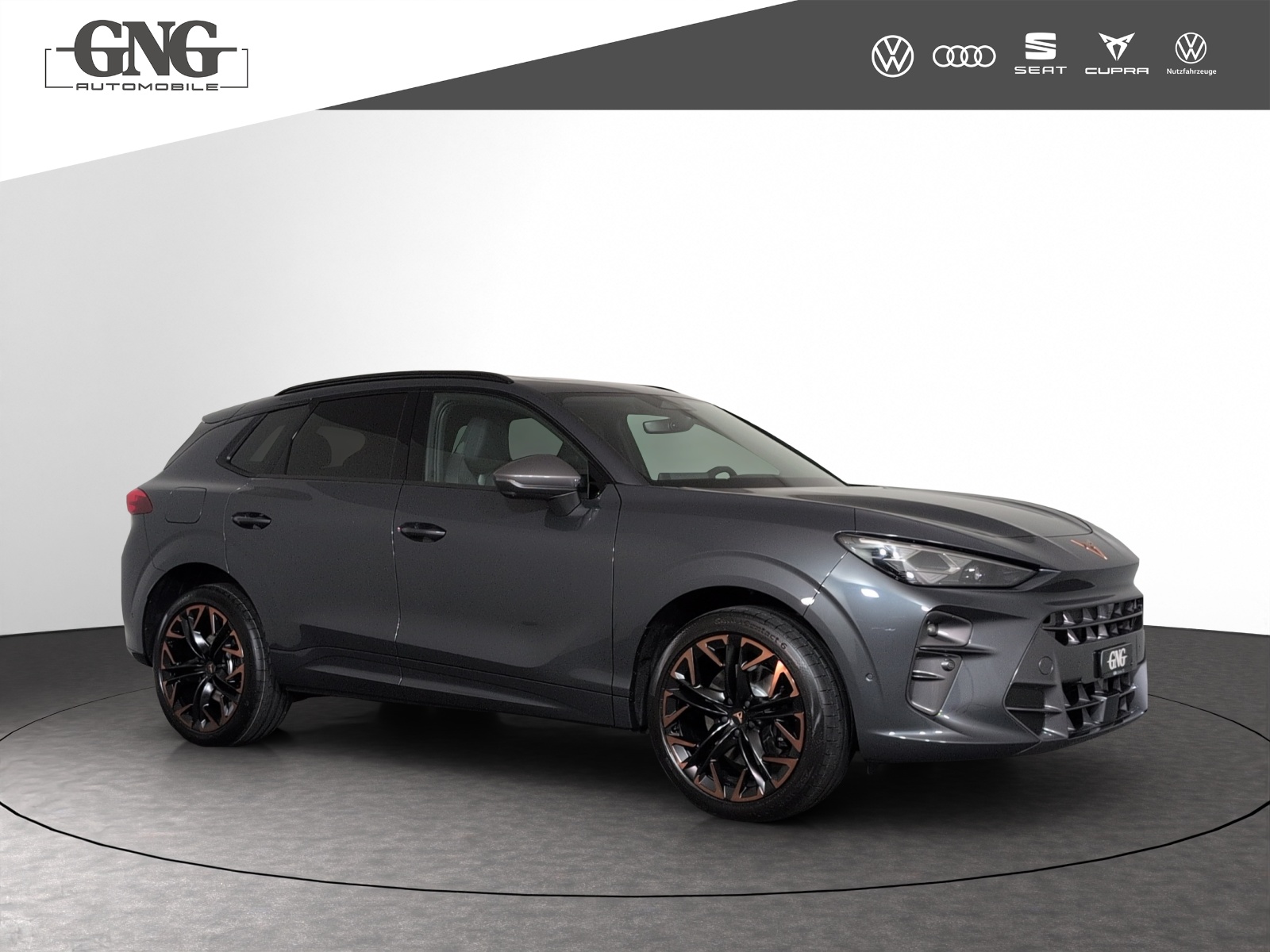 CUPRA Terramar 2.0 TSI DSG Prime Edition VZ 4Drive-image-3