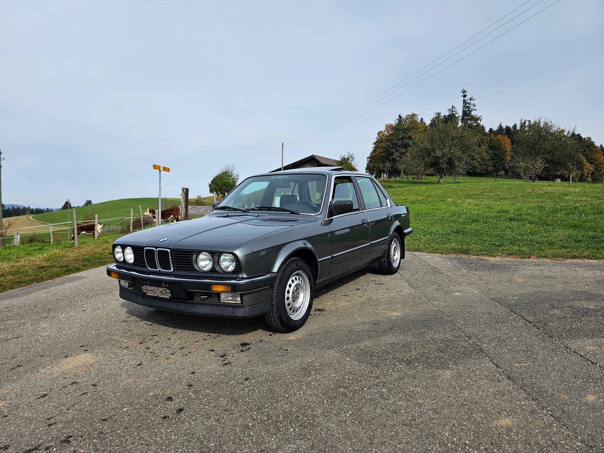 BMW 324