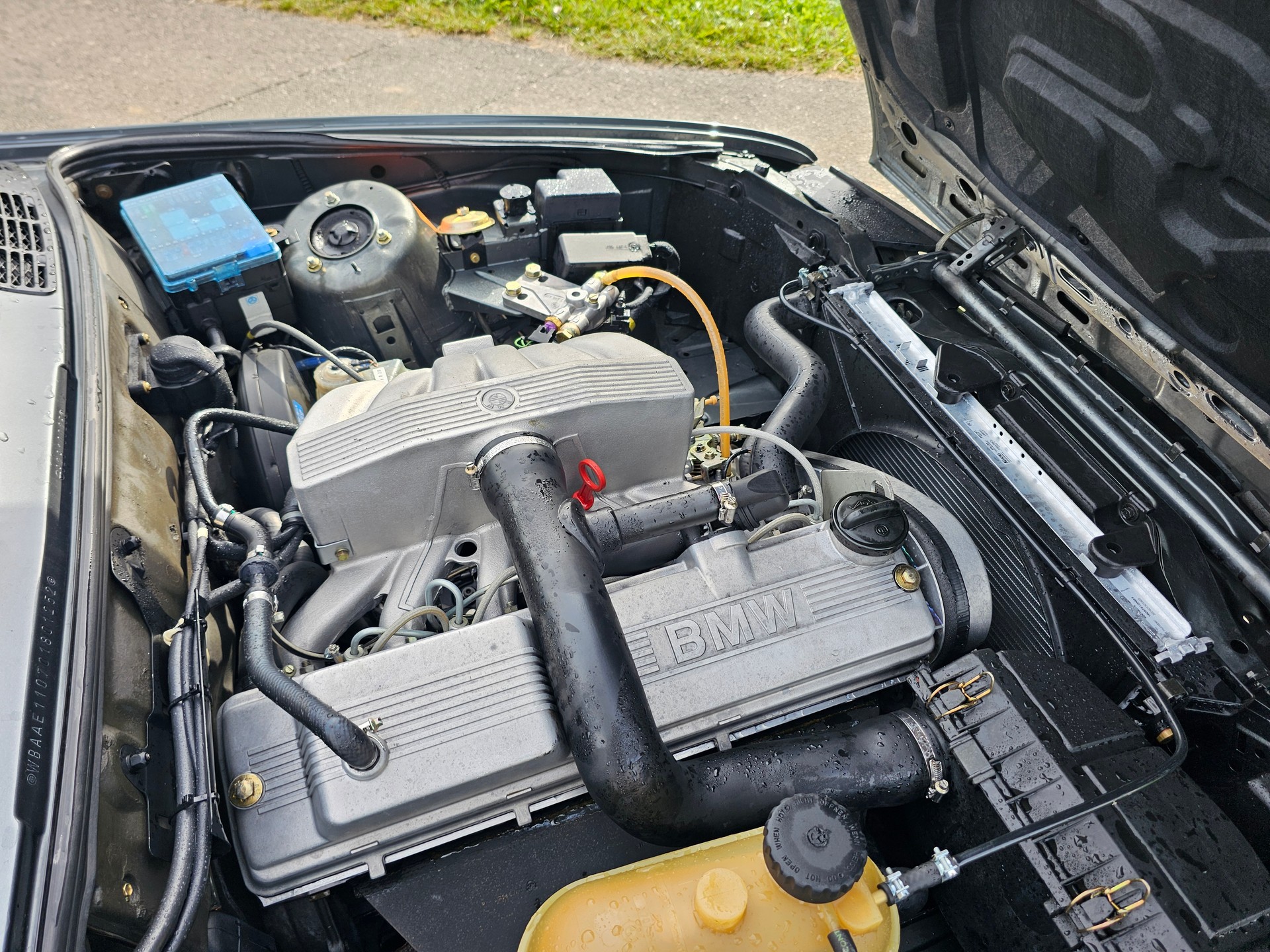 BMW 324-image-5