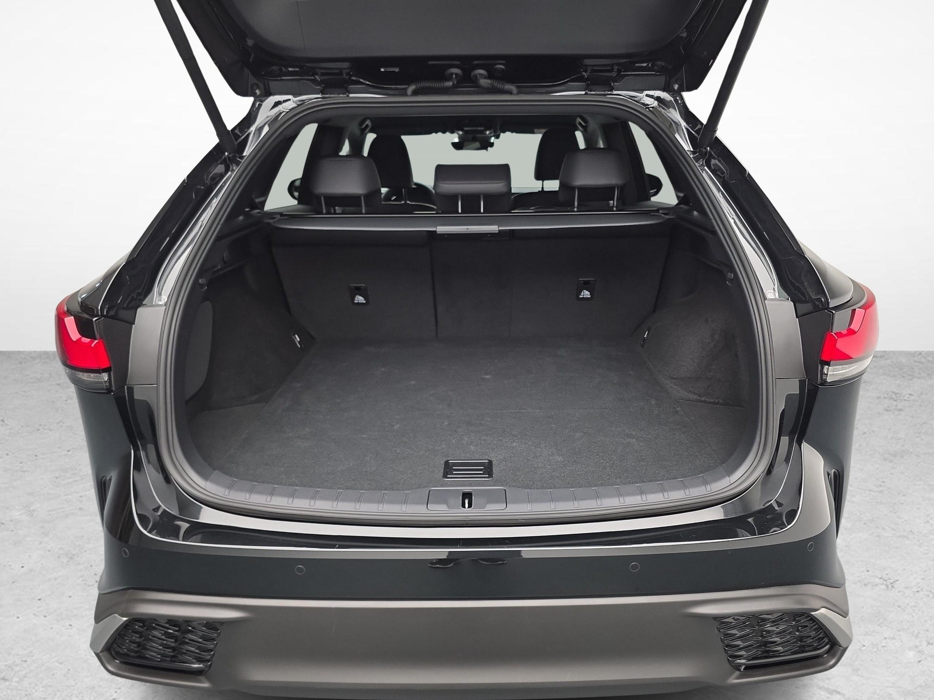 LEXUS RX 350h F-Line-image-11
