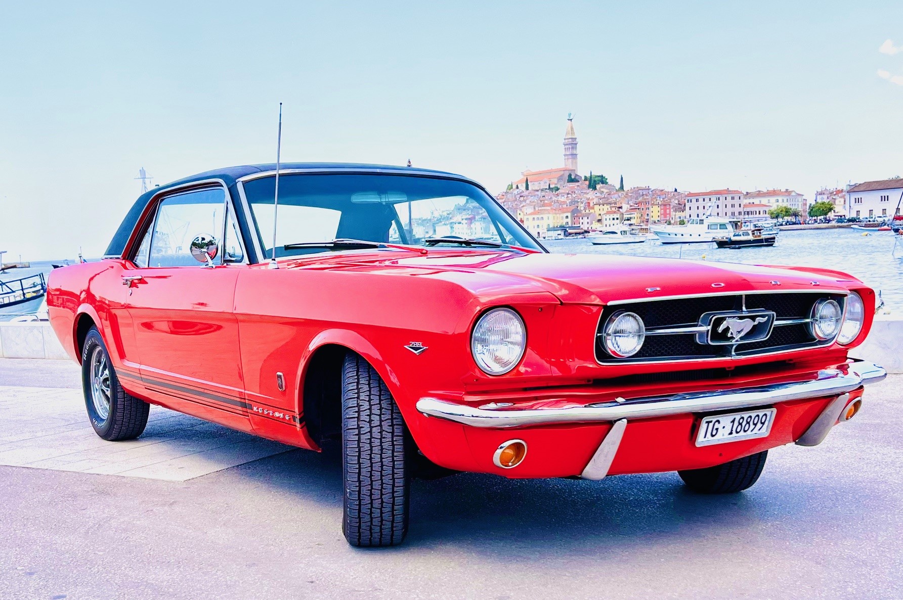 FORD Mustang GT Coupé-image-1