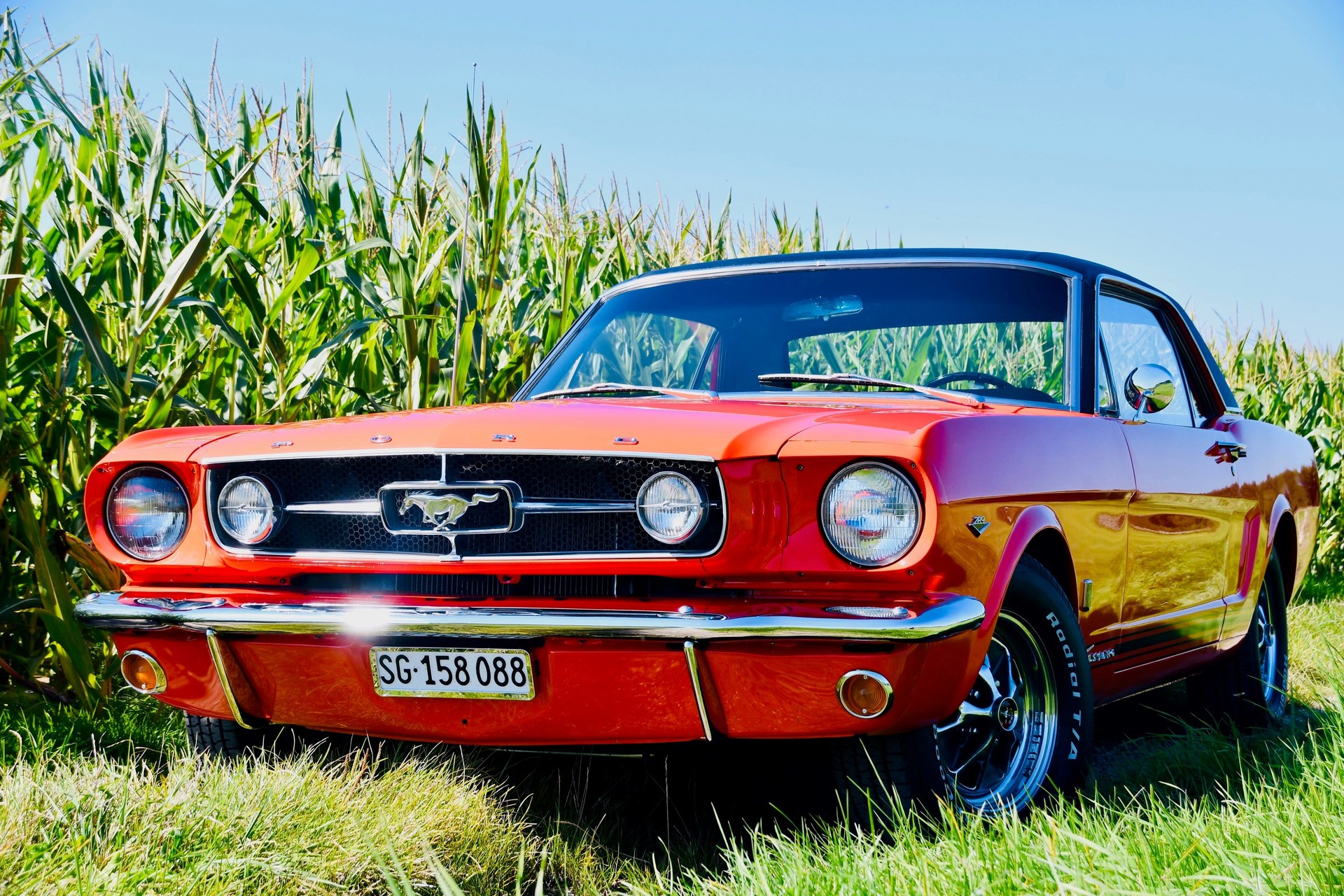 FORD Mustang GT Coupé-image-0