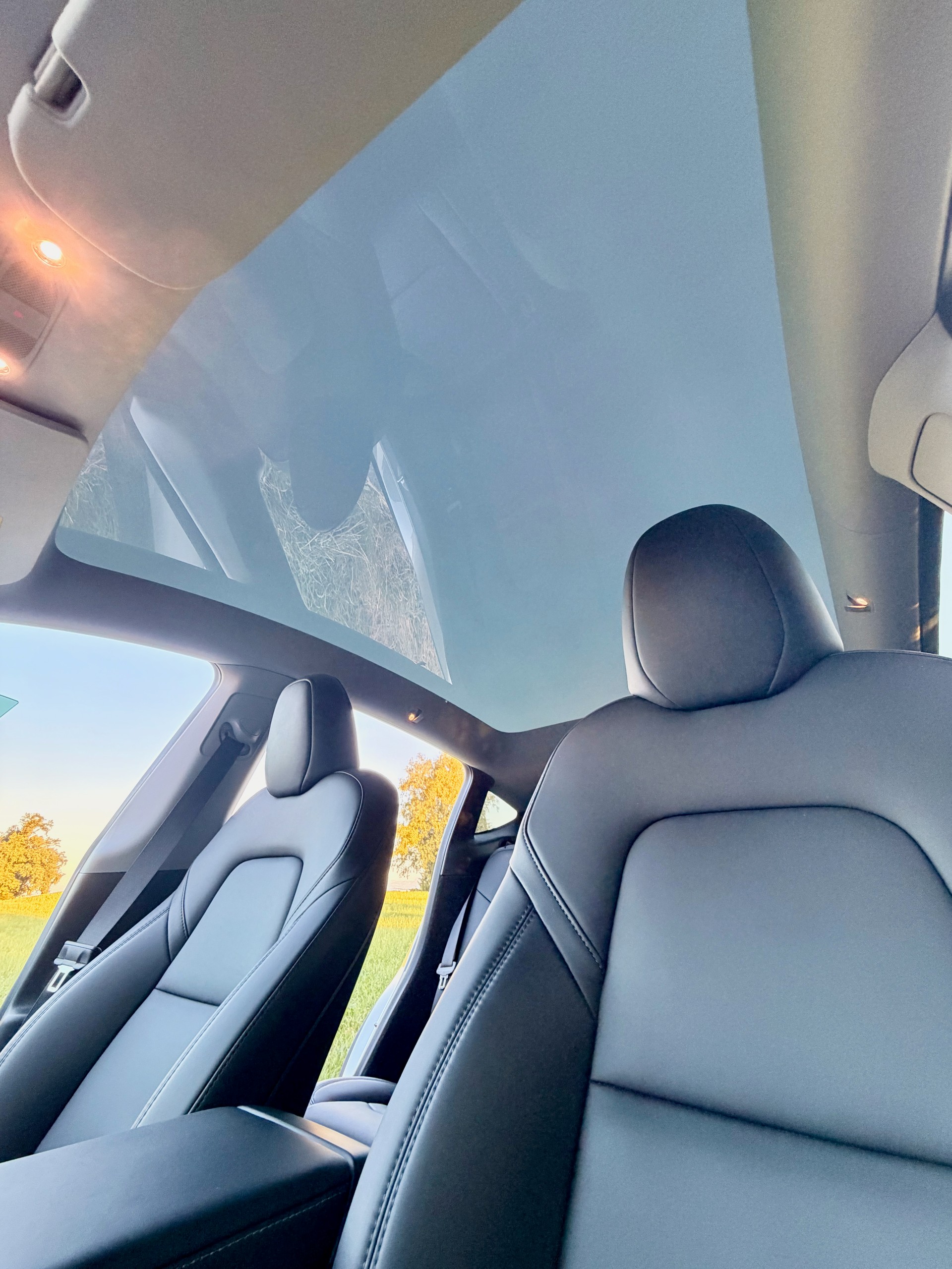 TESLA Performance D-image-6