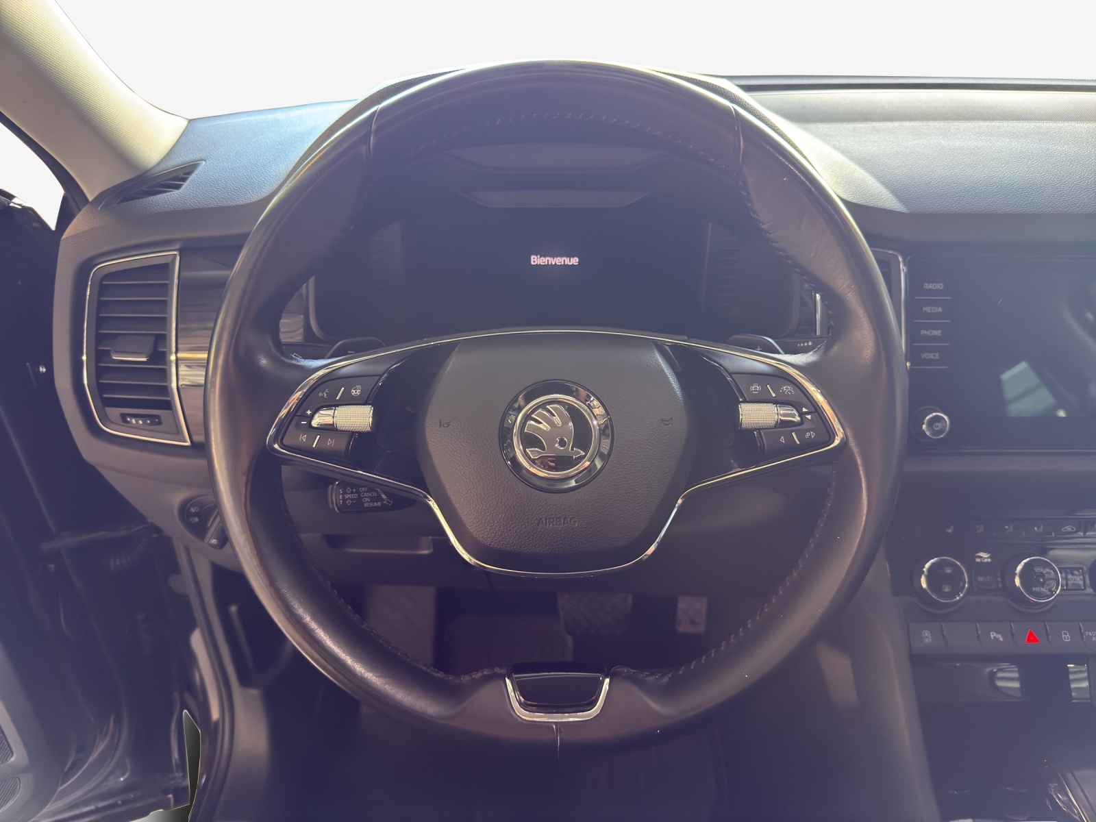 SKODA Kodiaq 2.0 TDI SCR Drive 4x4 DSG-image-9