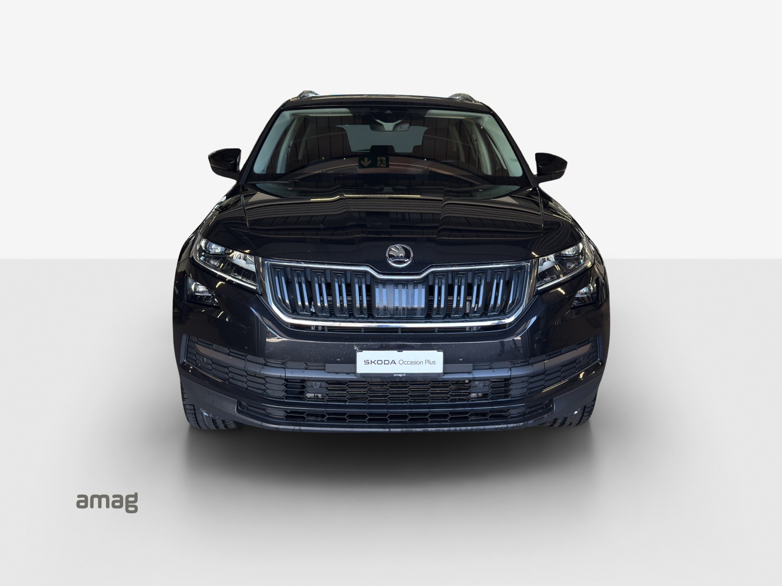 SKODA Kodiaq 2.0 TDI SCR Drive 4x4 DSG-image-6