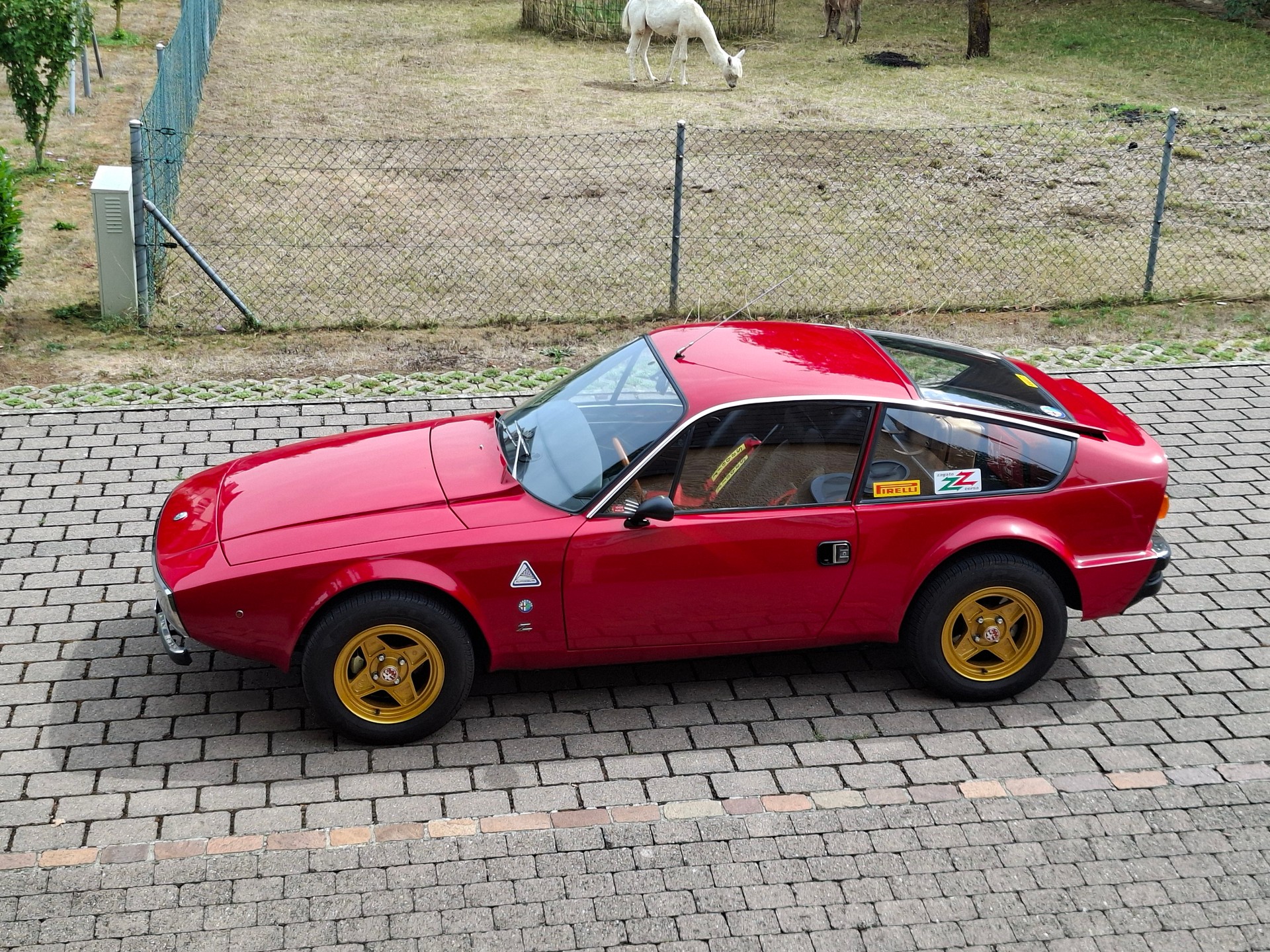 ALFA ROMEO Junior z-image-0