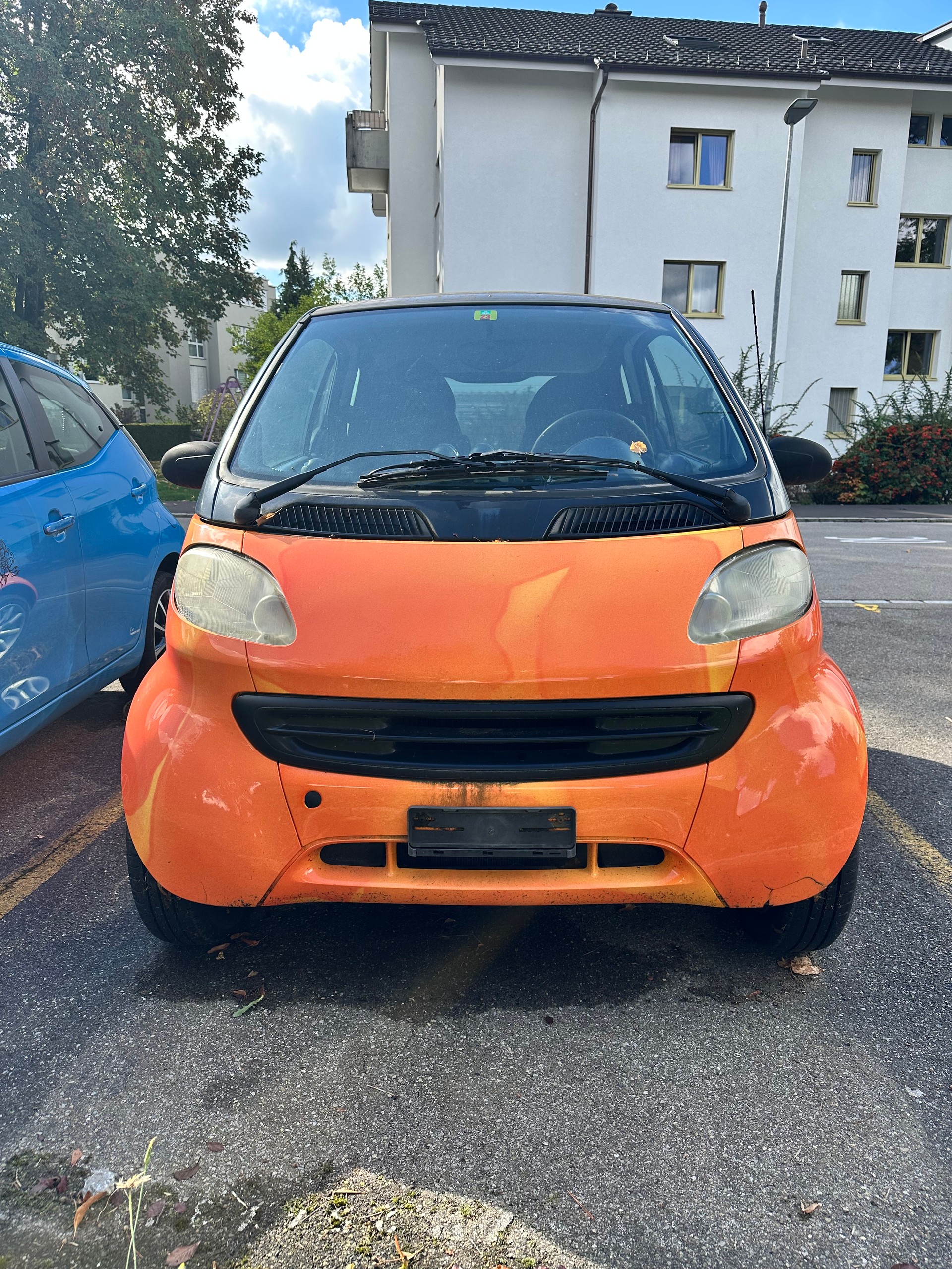 SMART 800 cdi Pure-image-4