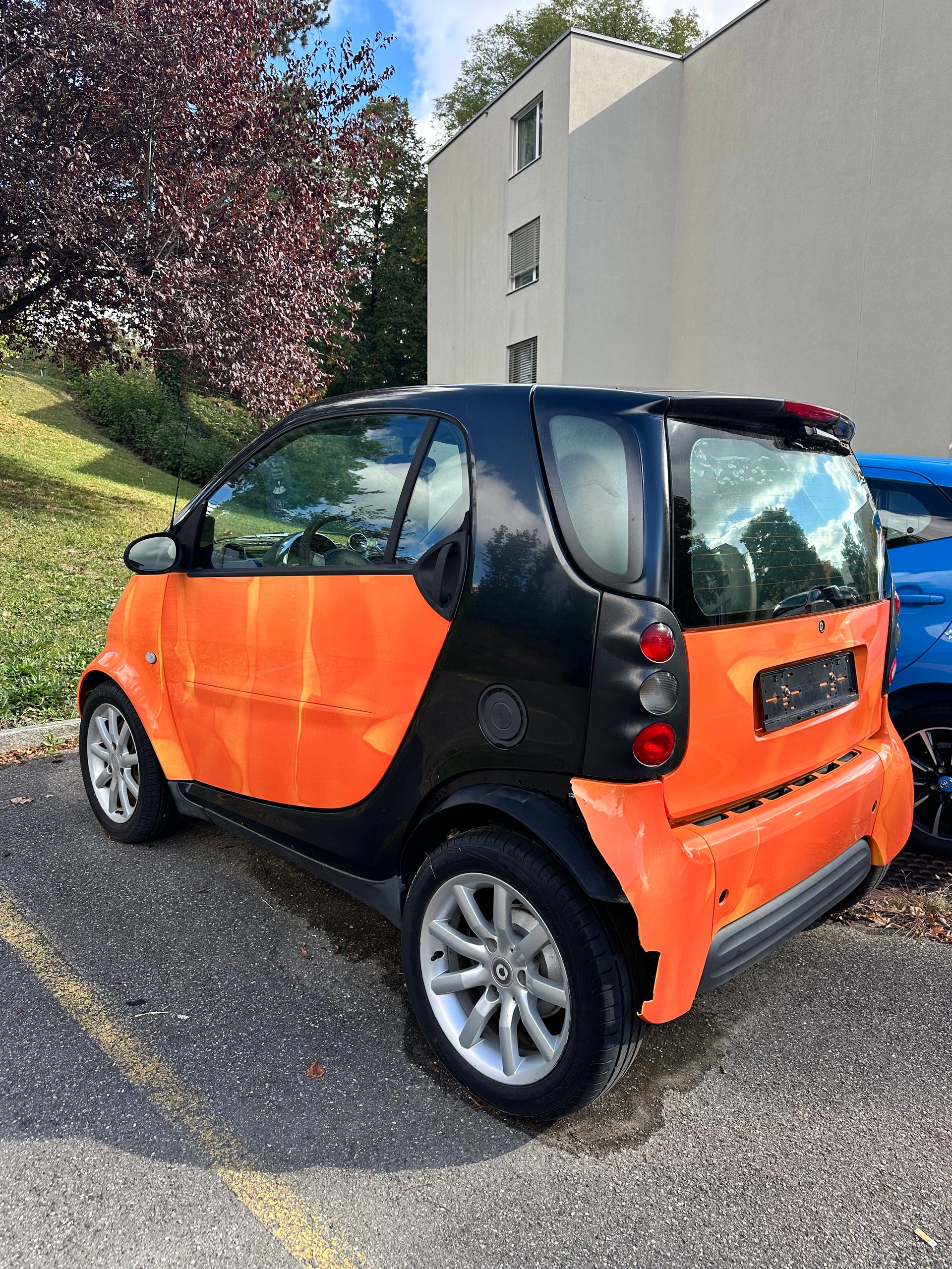 SMART 800 cdi Pure-image-1