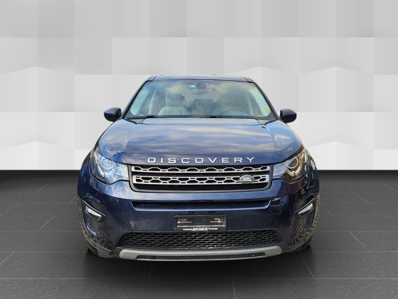 LAND ROVER Discovery Sport 2.0 TD4 SE AT9-image-1