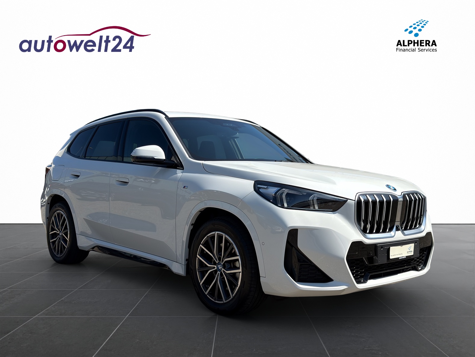 BMW X1 xDrive 25e M Sport-image-2