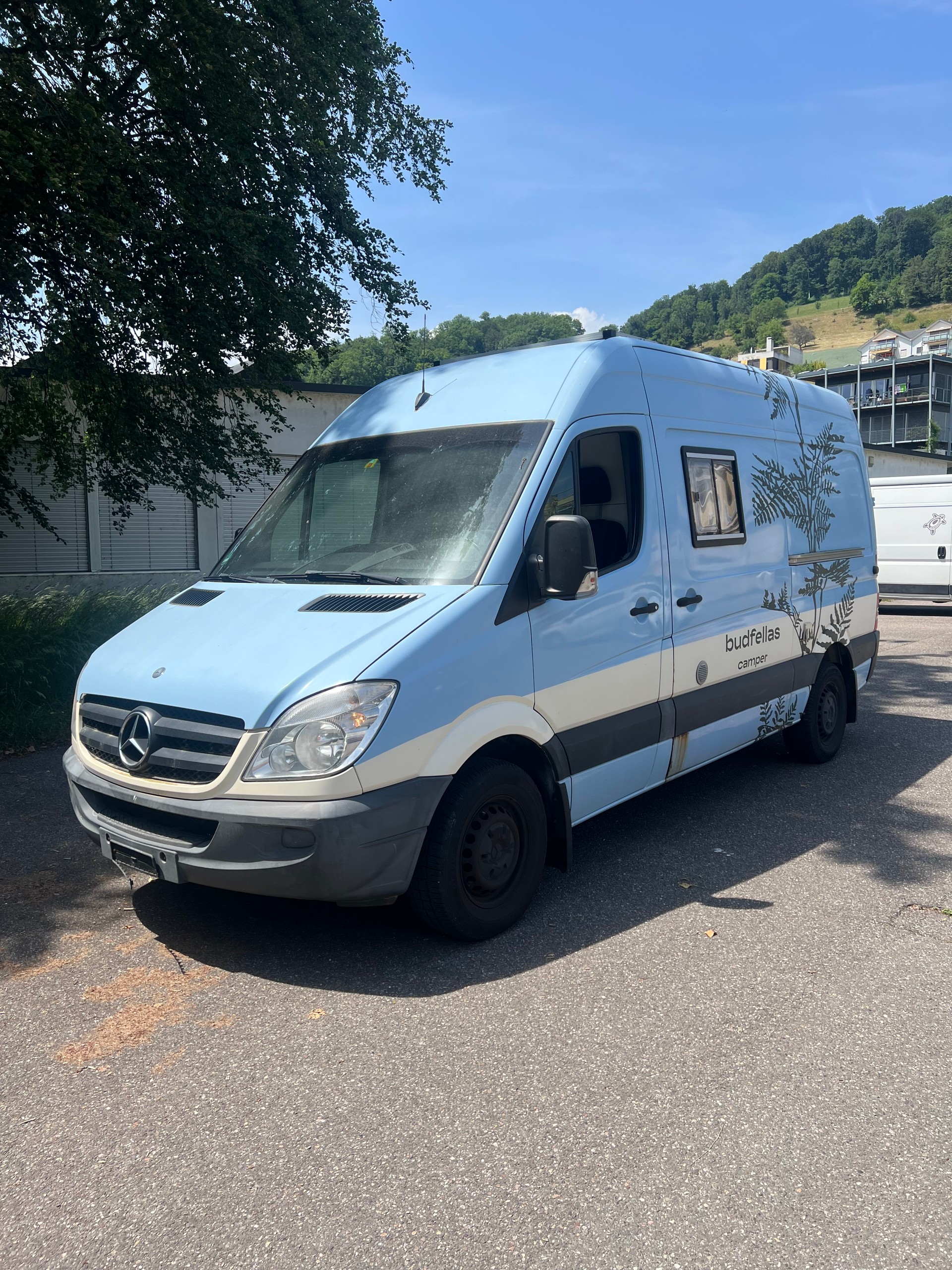 MERCEDES-BENZ Sprinter 313 CDI Lang-image-0