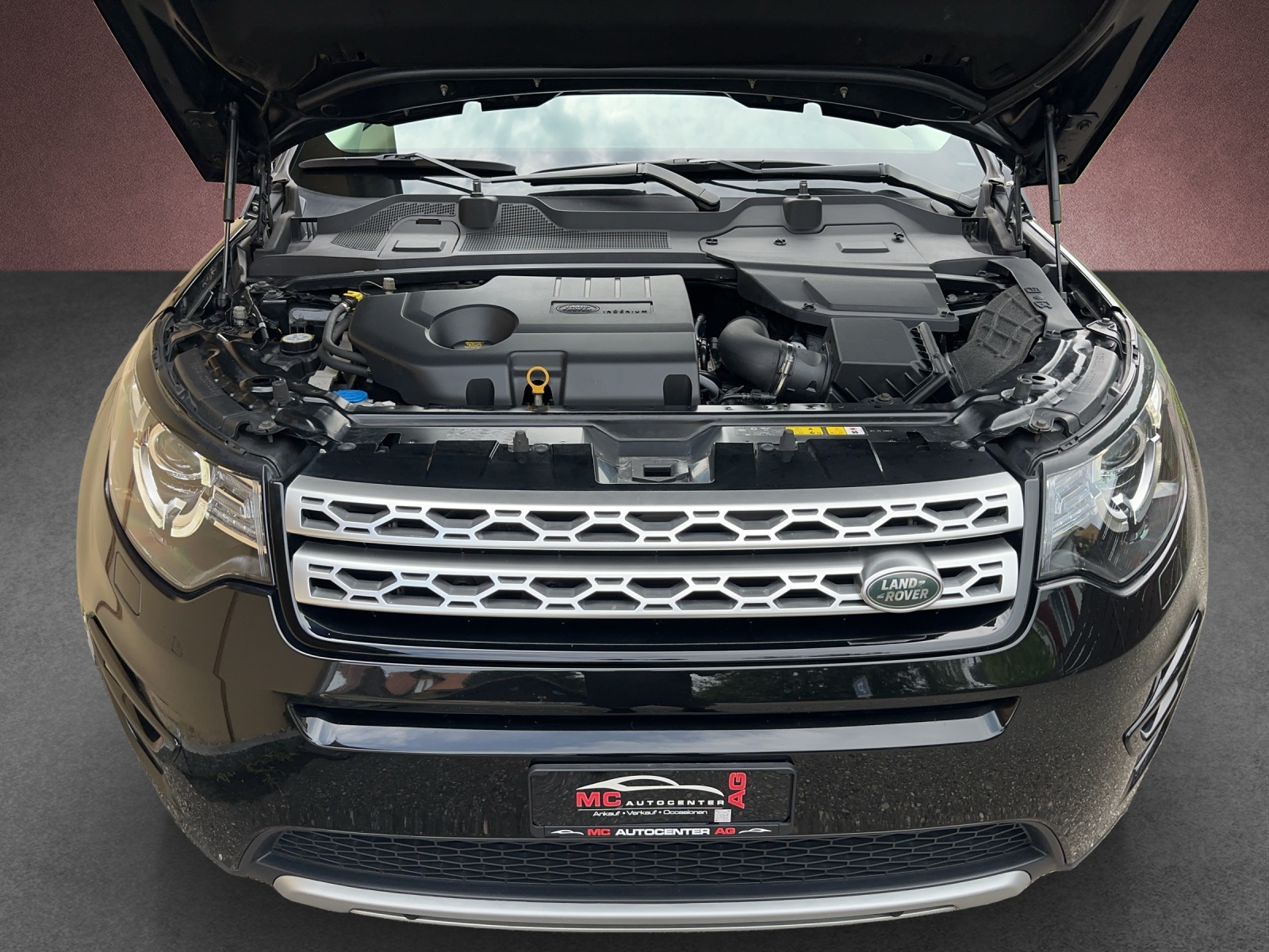 LAND ROVER Discovery Sport 2.0 TD4 HSE AT9-image-14