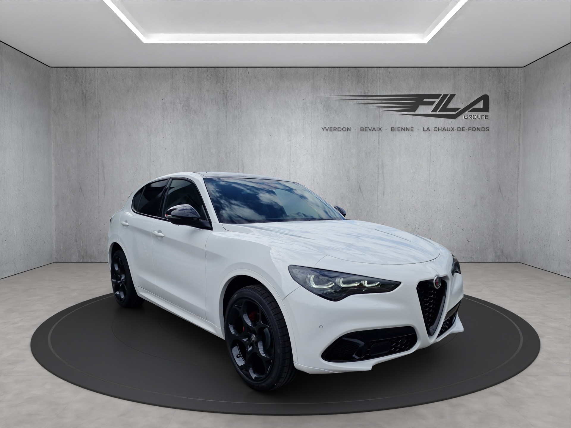 ALFA ROMEO STELVIO 2.0 Q4 280cv Tributo Italiano-image-6