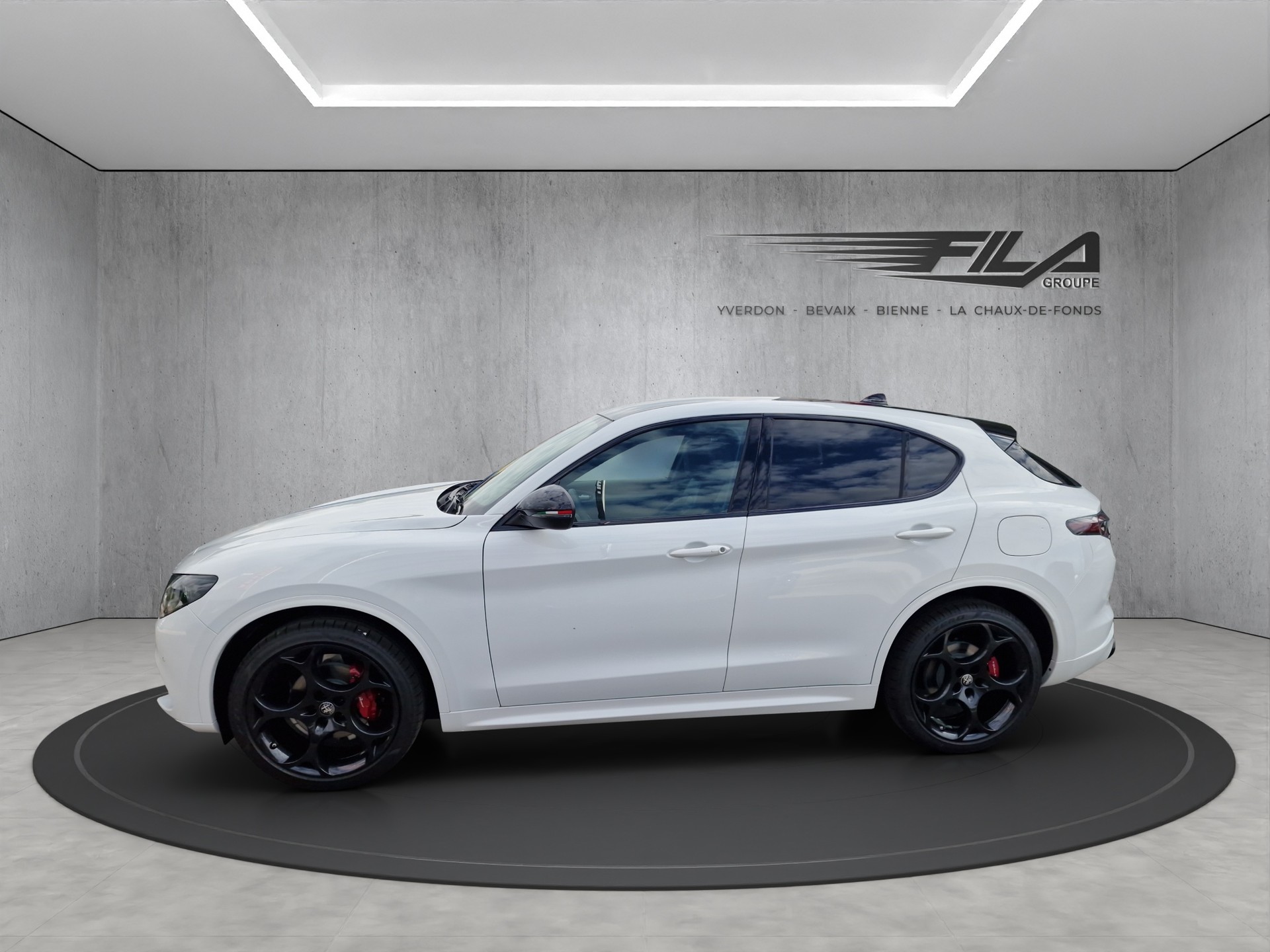 ALFA ROMEO STELVIO 2.0 Q4 280cv Tributo Italiano-image-3