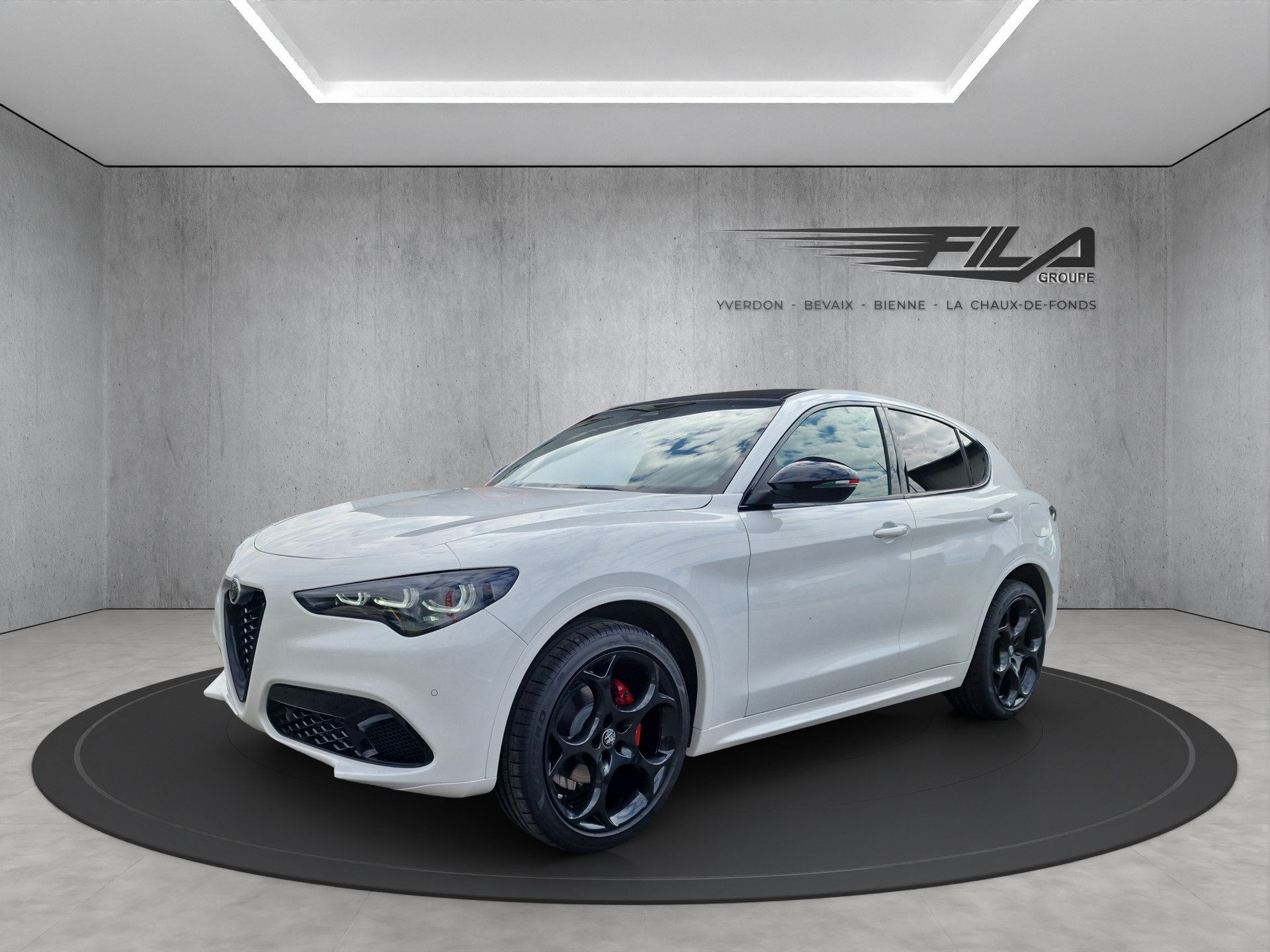 ALFA ROMEO STELVIO 2.0 Q4 280cv Tributo Italiano-image-1