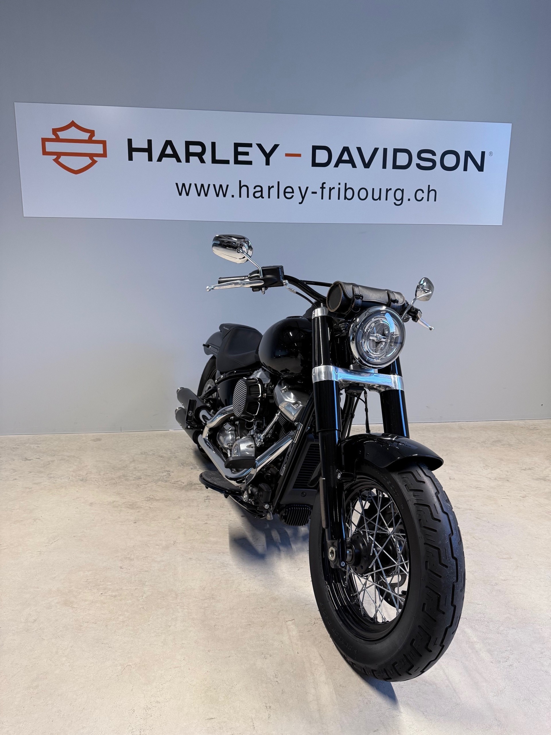 HARLEY-DAVIDSON FLSL Softail Slim 107-showroom-element-3