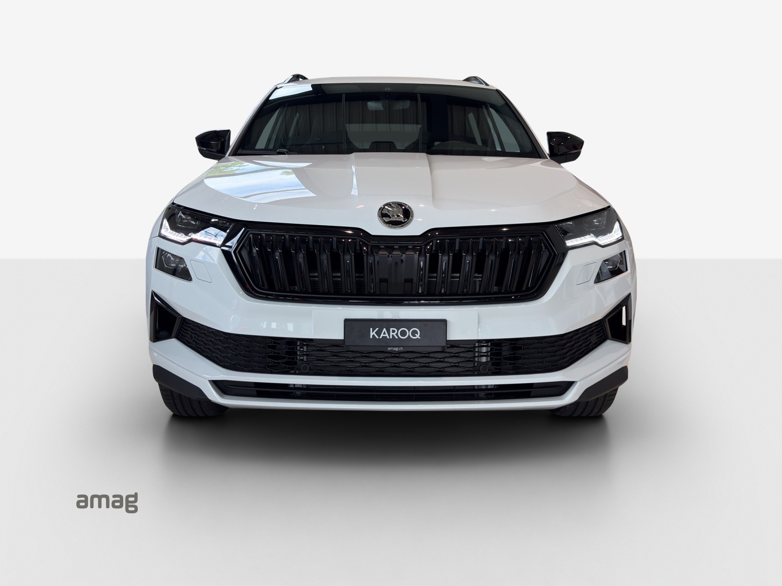 SKODA Karoq 2.0 TSI Dynamic Limited Edition 4x4 DSG-image-4