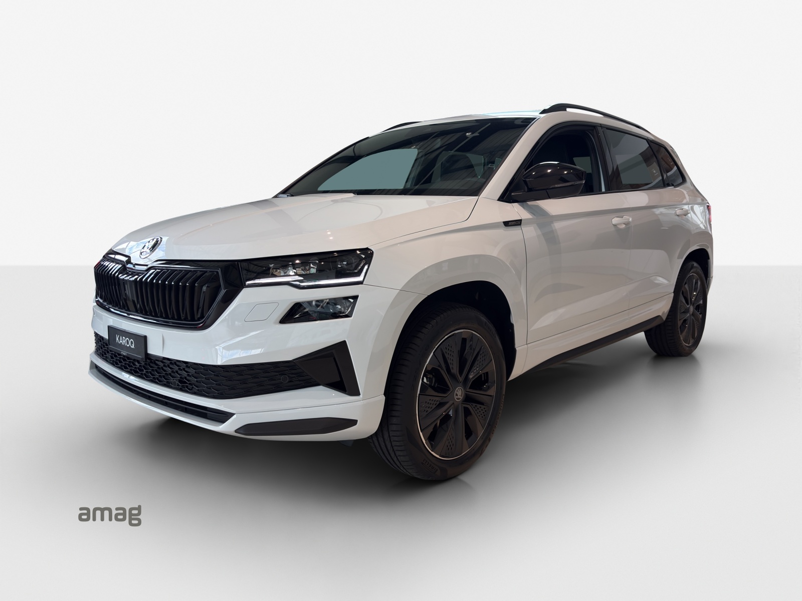 SKODA Karoq 2.0 TSI Dynamic Limited Edition 4x4 DSG-image-0