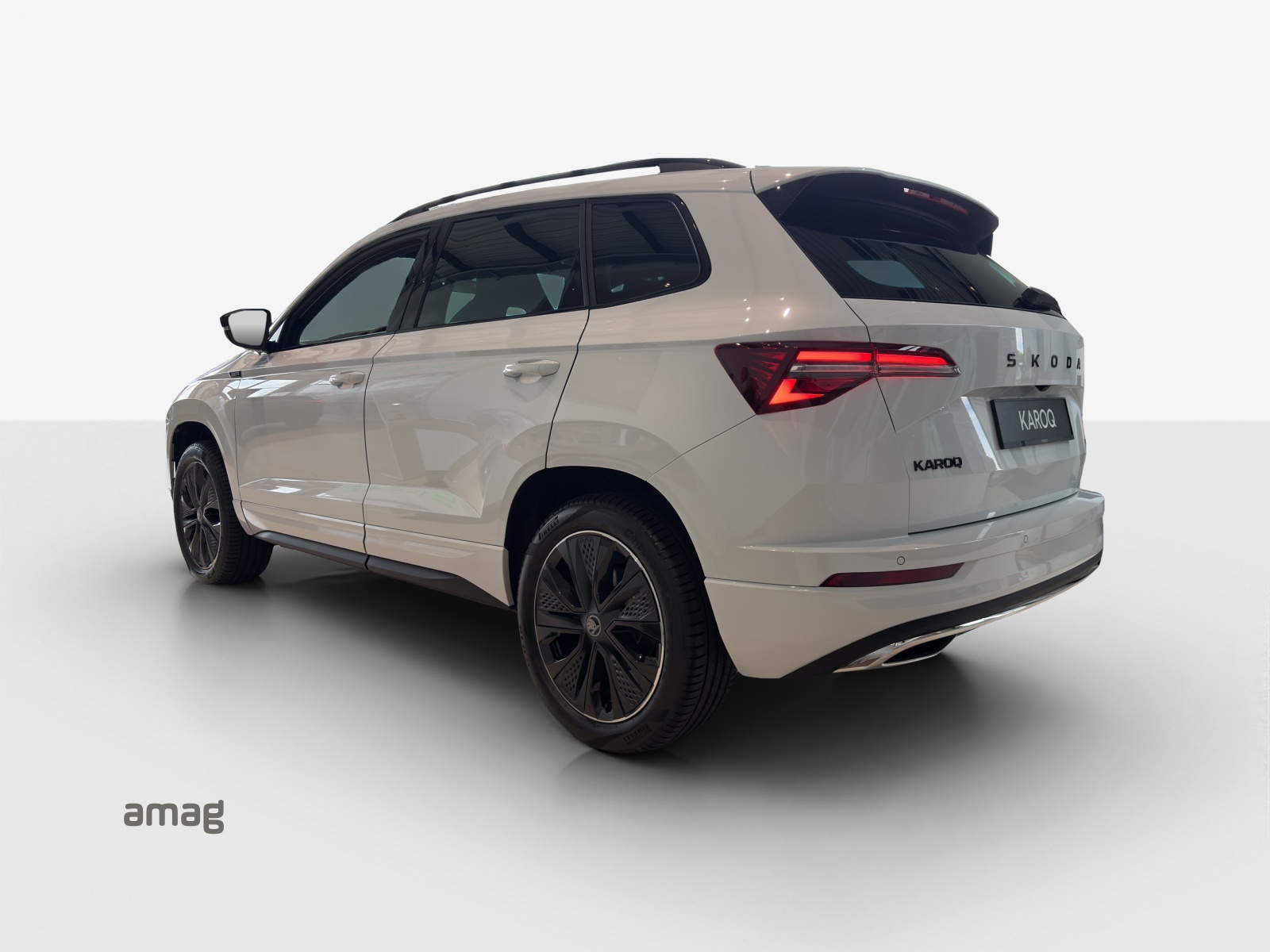 SKODA Karoq 2.0 TSI Dynamic Limited Edition 4x4 DSG-image-1