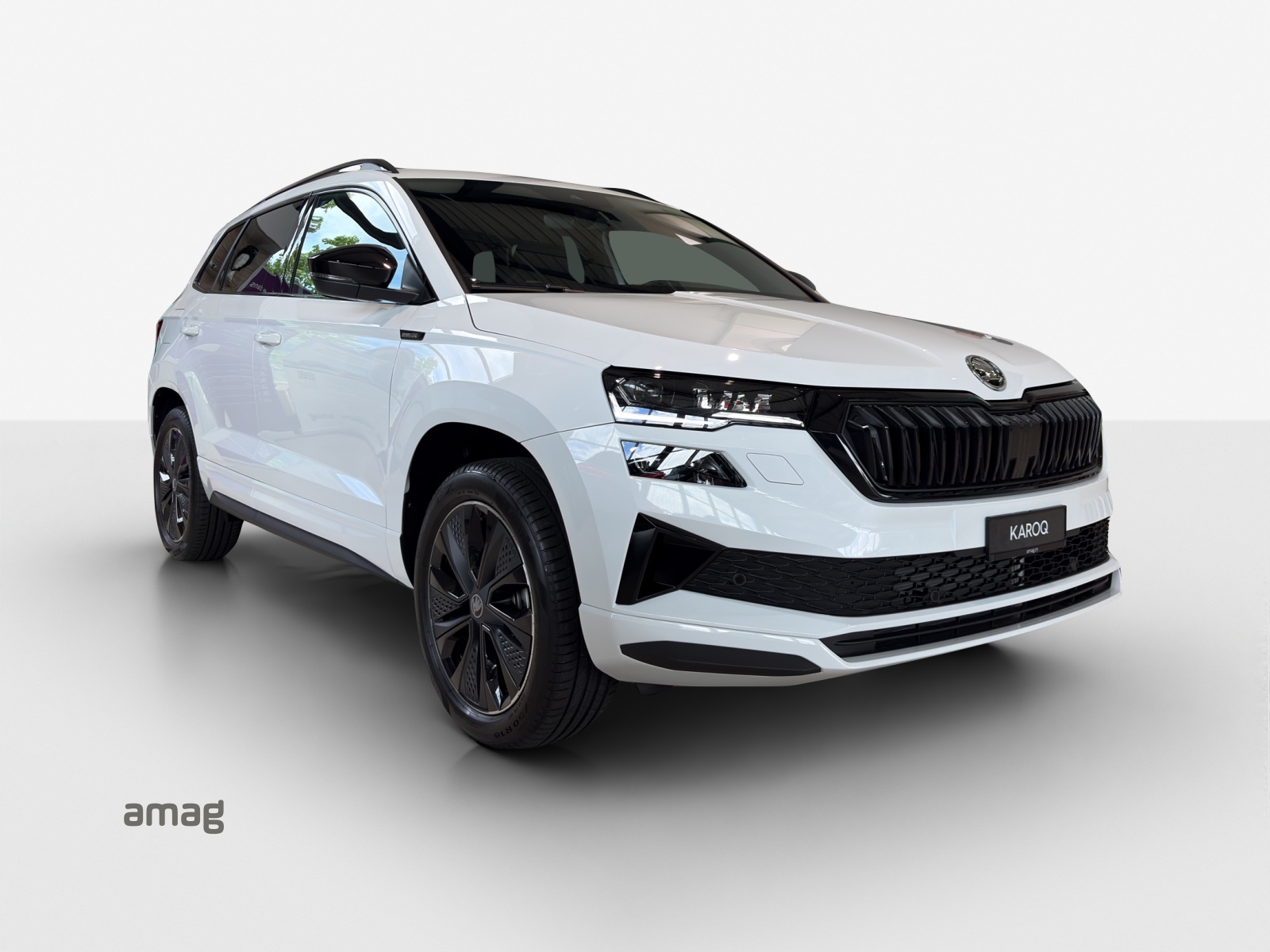 SKODA Karoq 2.0 TSI Dynamic Limited Edition 4x4 DSG-image-3