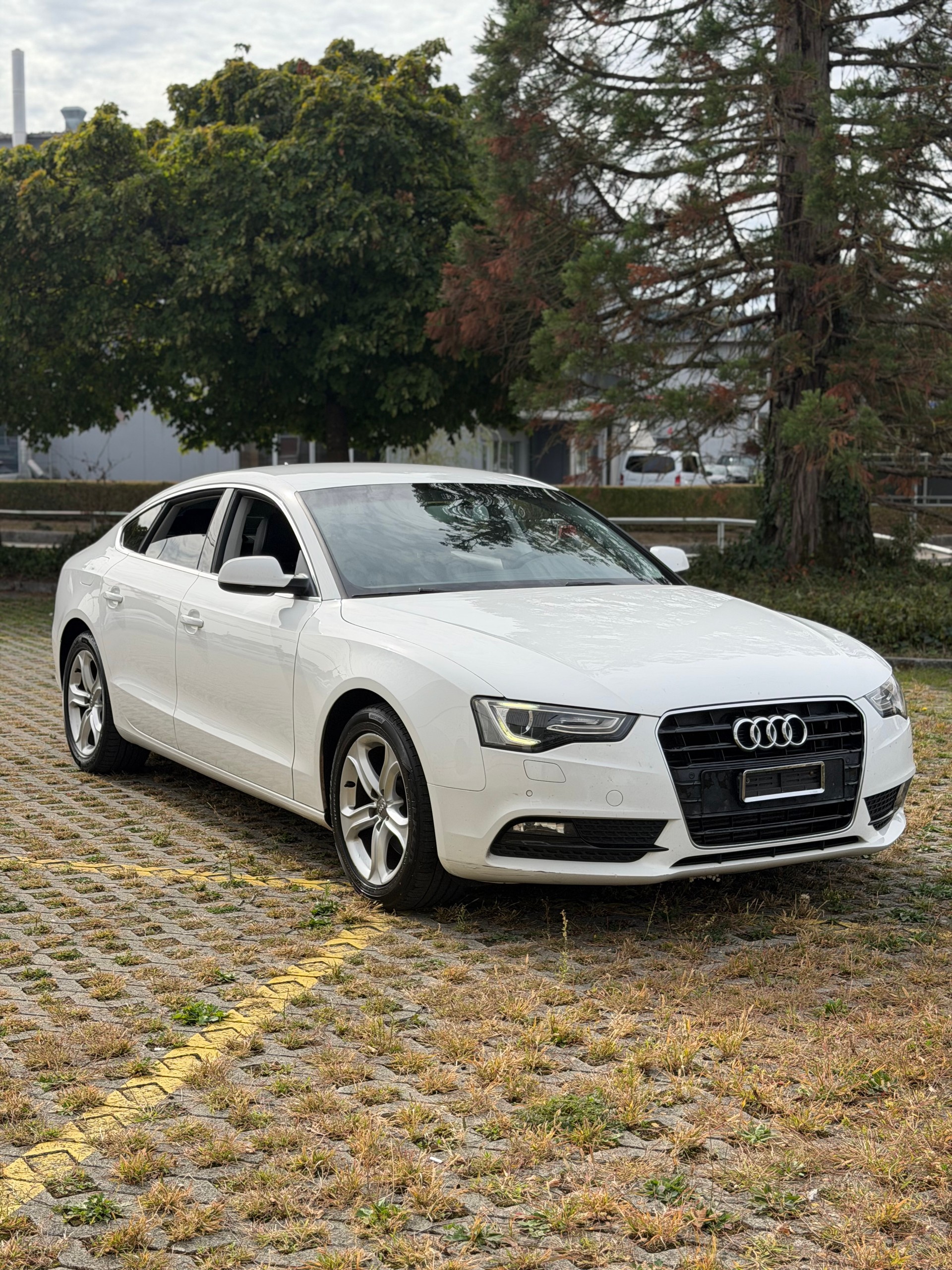 AUDI A5 Sportback 2.0 TDI multitronic-image-0