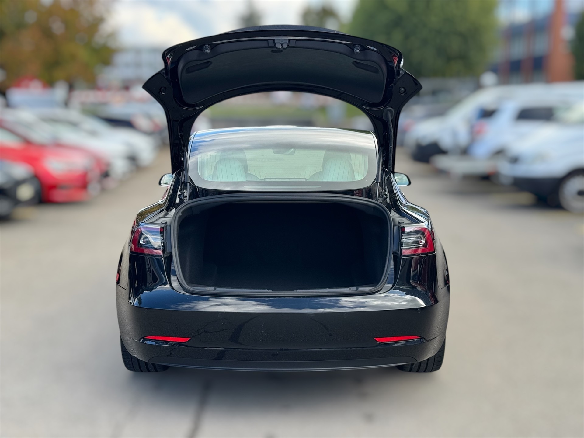 TESLA Model 3 Performance Dual Motor AWD-image-5