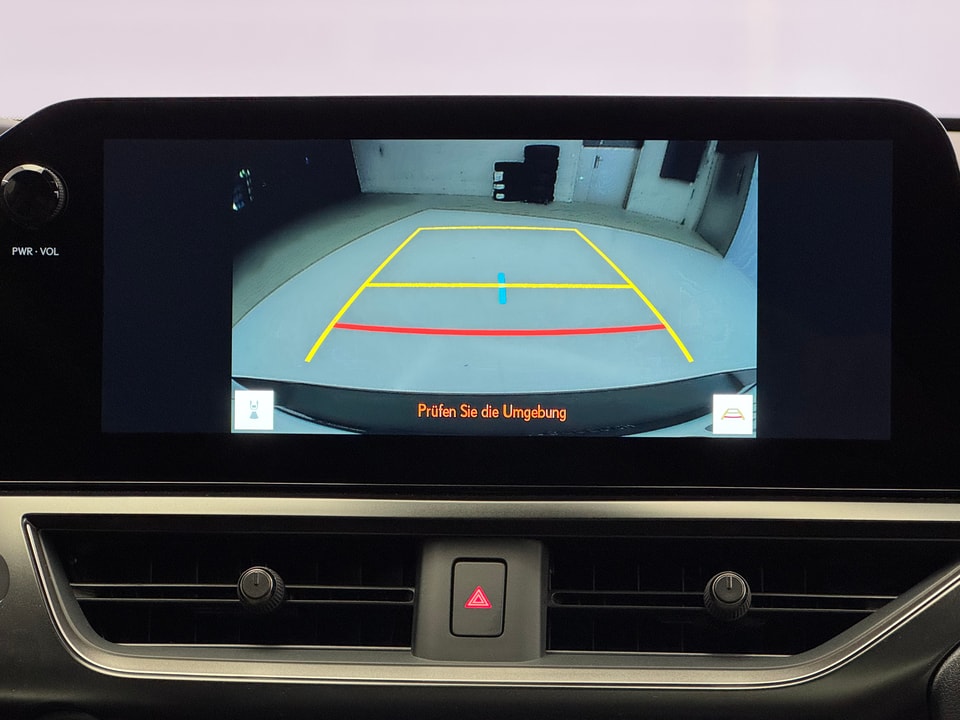 UX 250h Comfort AWD Voll-Hybrid