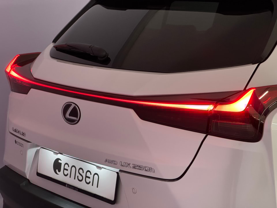 UX 250h Comfort AWD Voll-Hybrid
