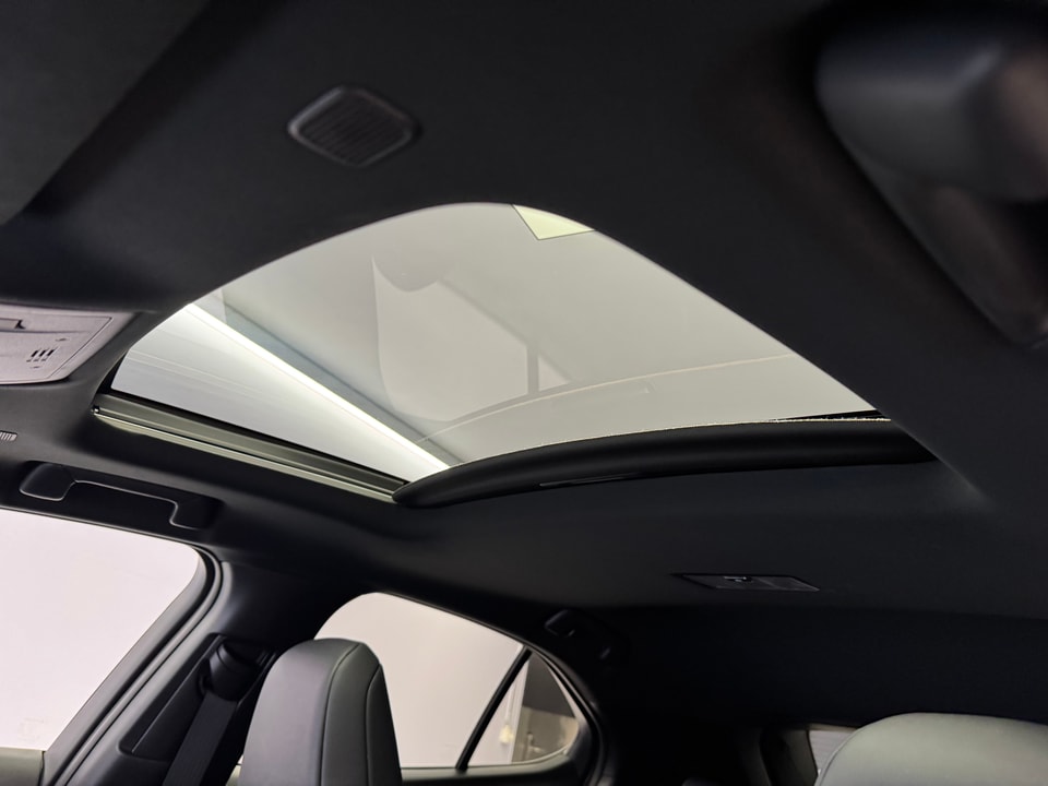 UX 250h Comfort AWD Voll-Hybrid