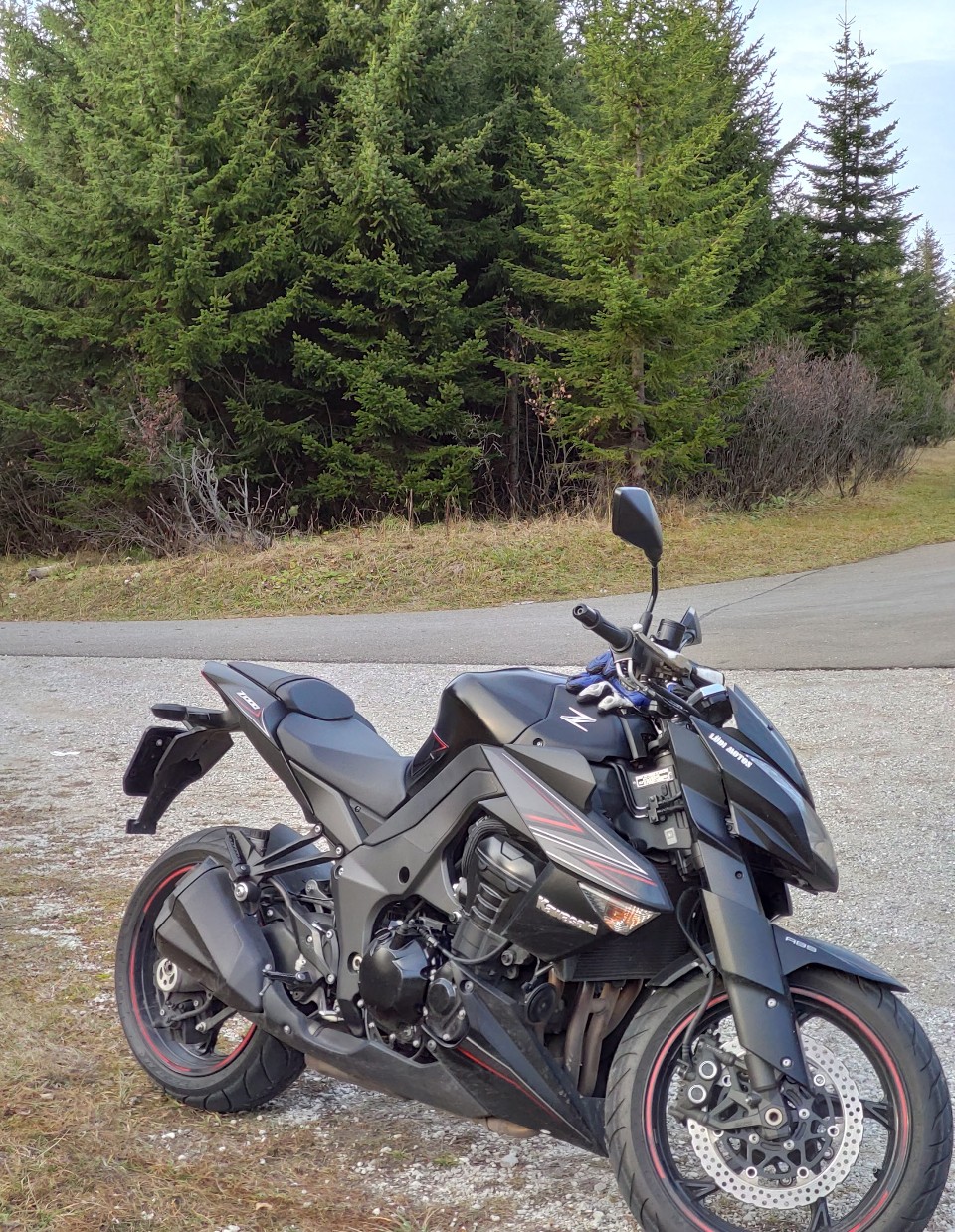 KAWASAKI Z 1000 Black Edition ABS-image-2