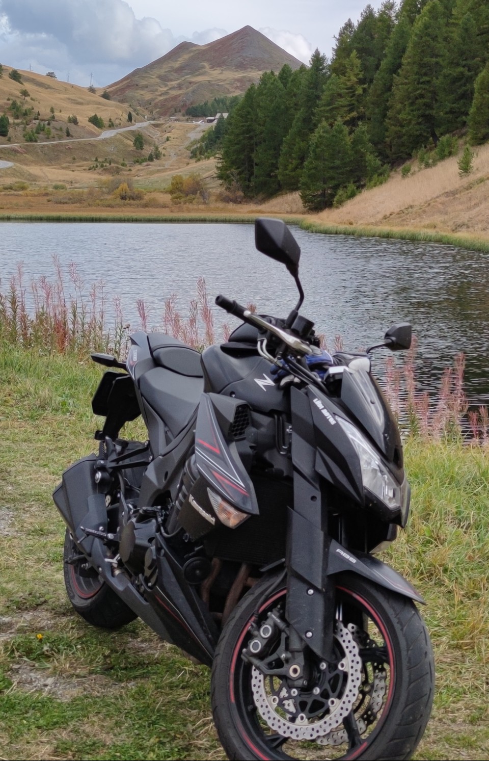 KAWASAKI Z 1000 Black Edition ABS-image-3