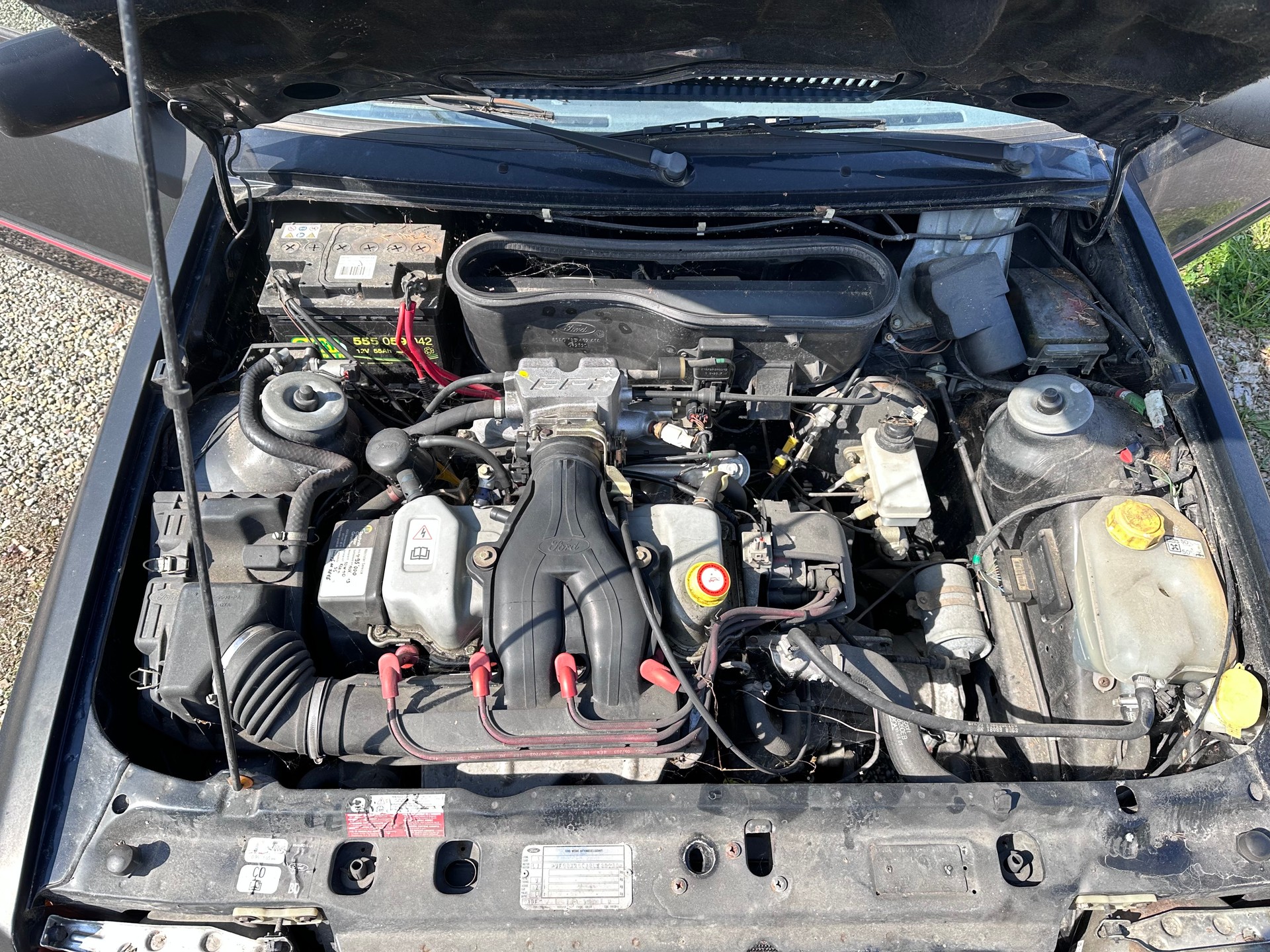 FORD Escort 1600 XR3i-image-5