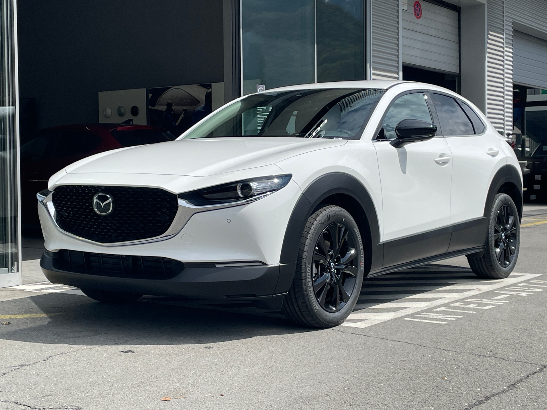 MAZDA CX-30 SKYACTIV-X 186 M Hybrid Homura AWD AT-image-0