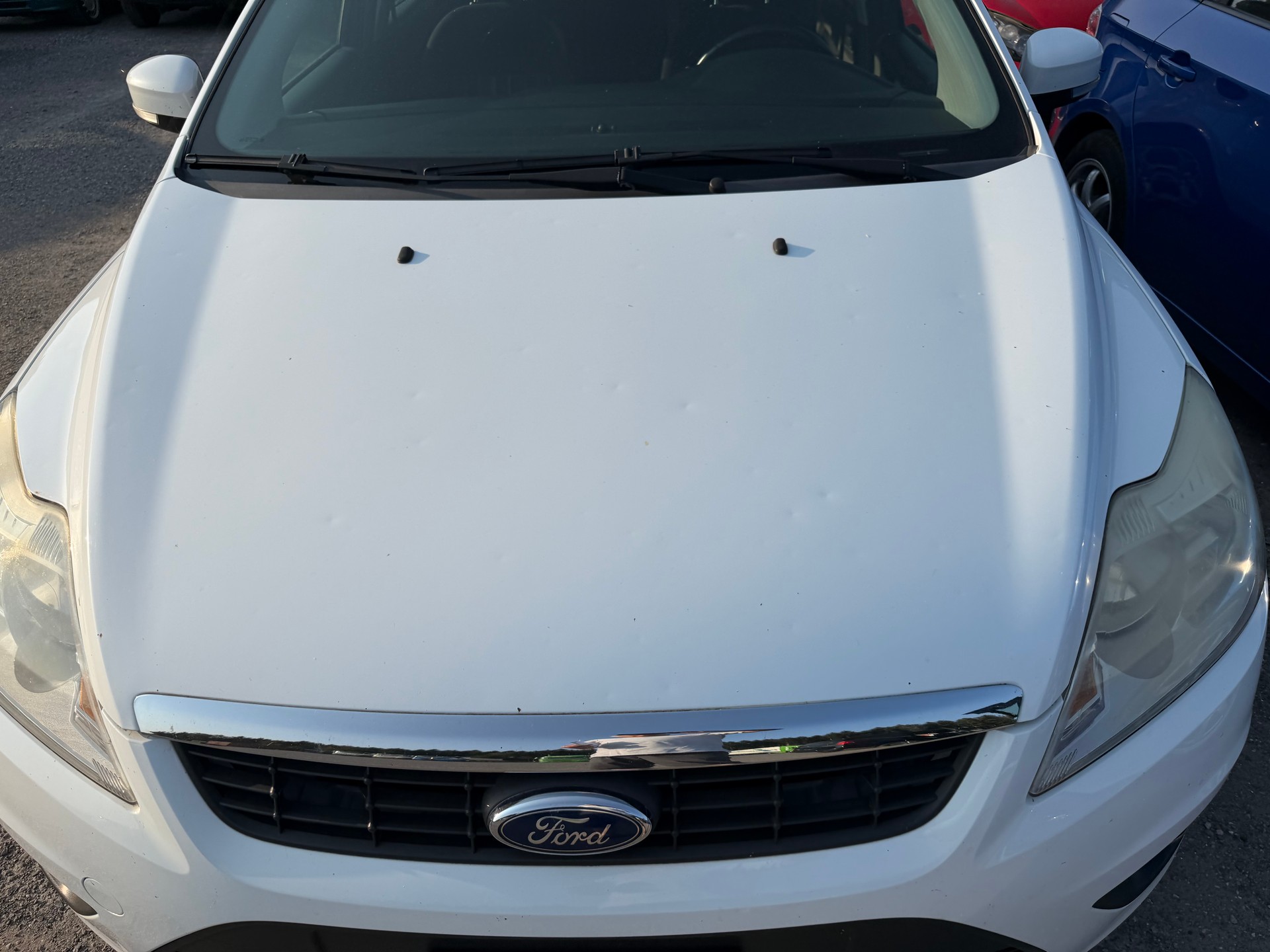 FORD Focus 1.6i VCT Carving-image-12