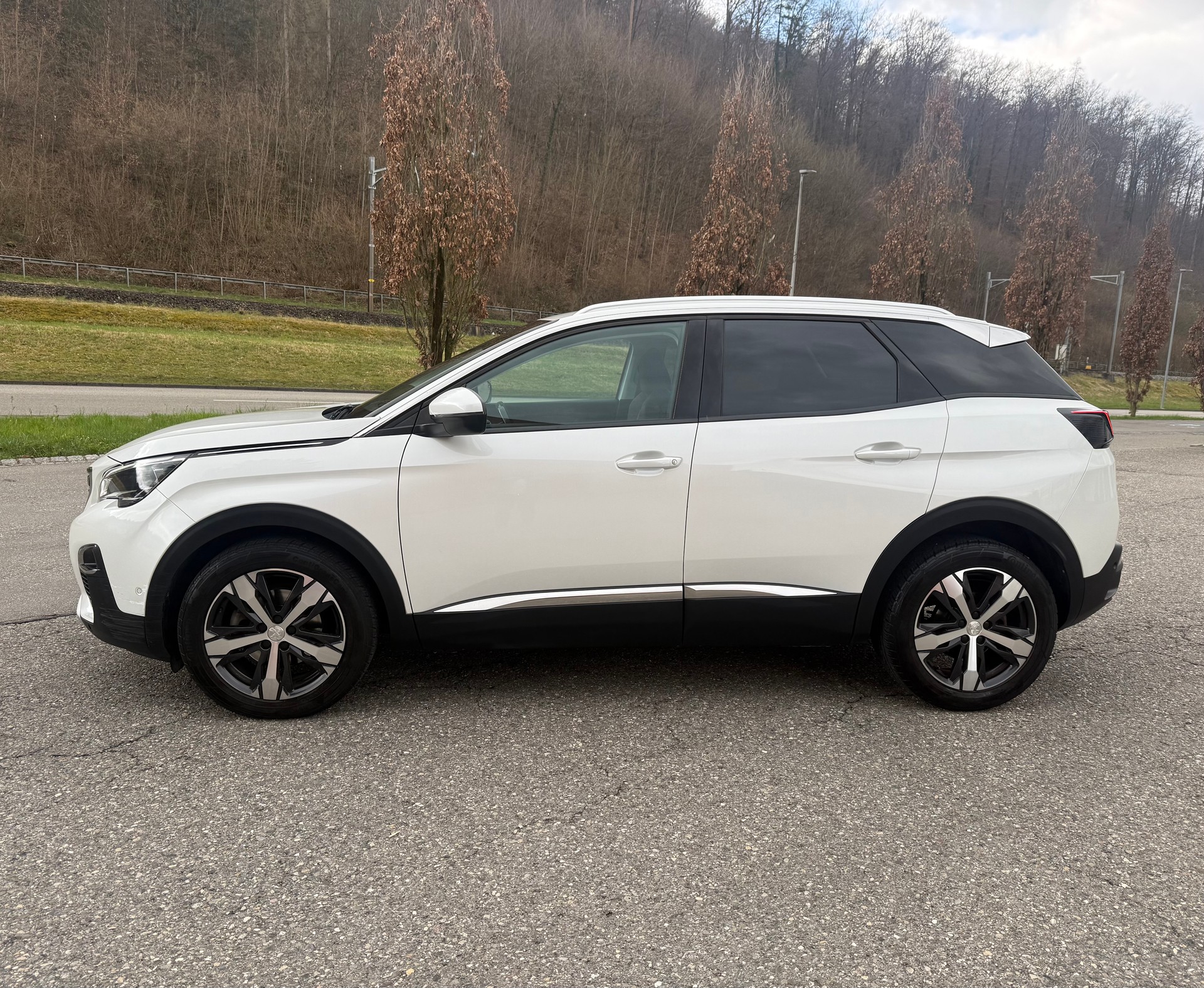 PEUGEOT 3008-image-3