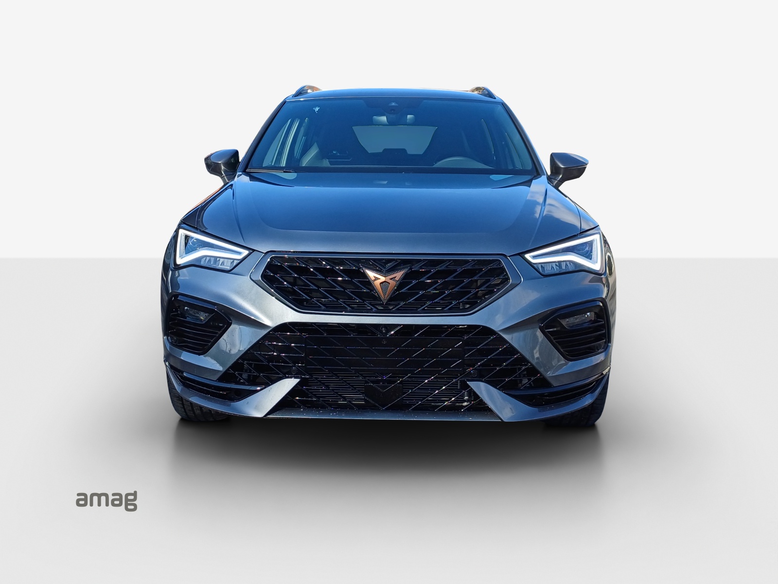 CUPRA CUPRA Ateca 2.0TSI 300 PS 7-Gang DSG 4Drive-image-6